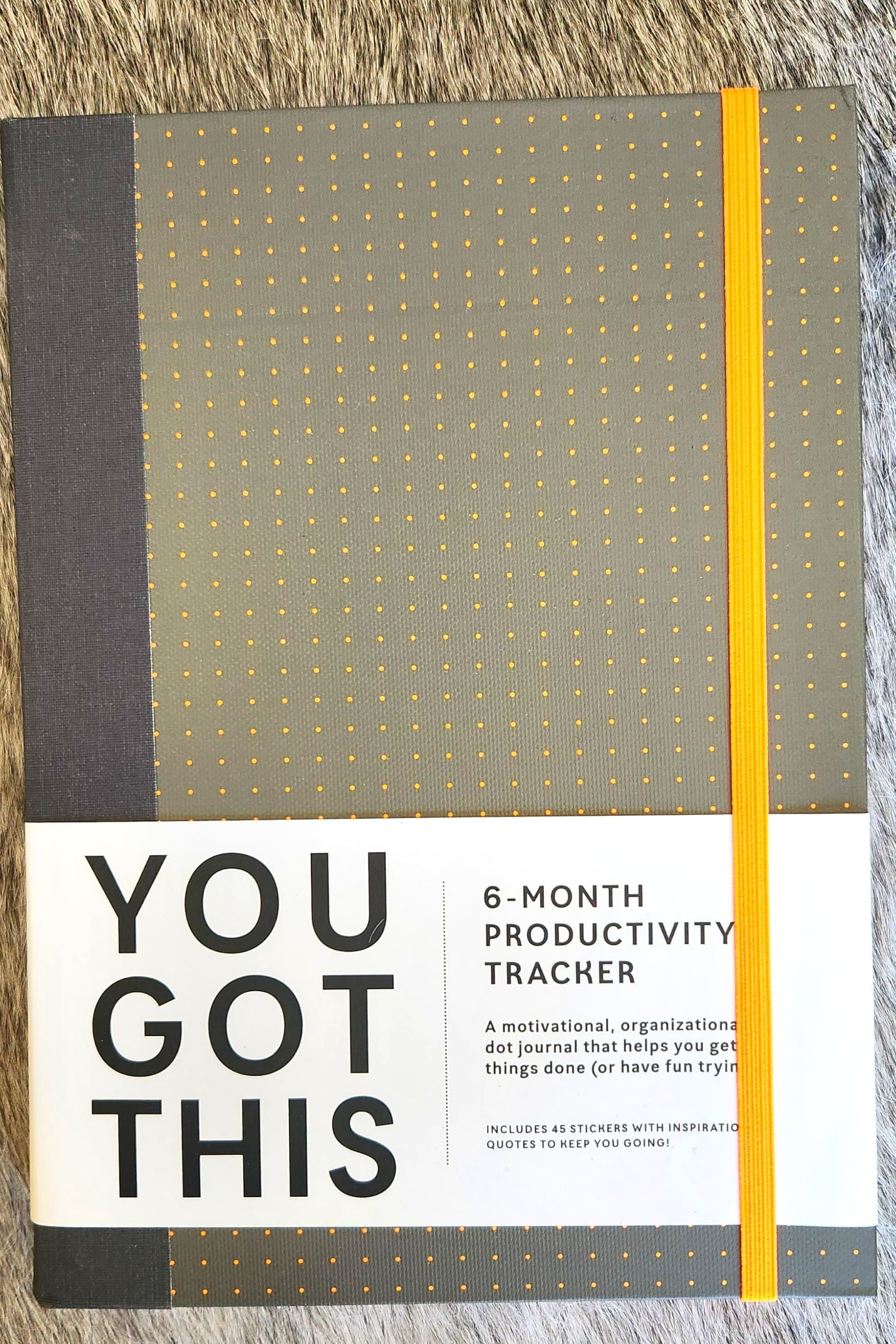 You Got This Productivity Journal