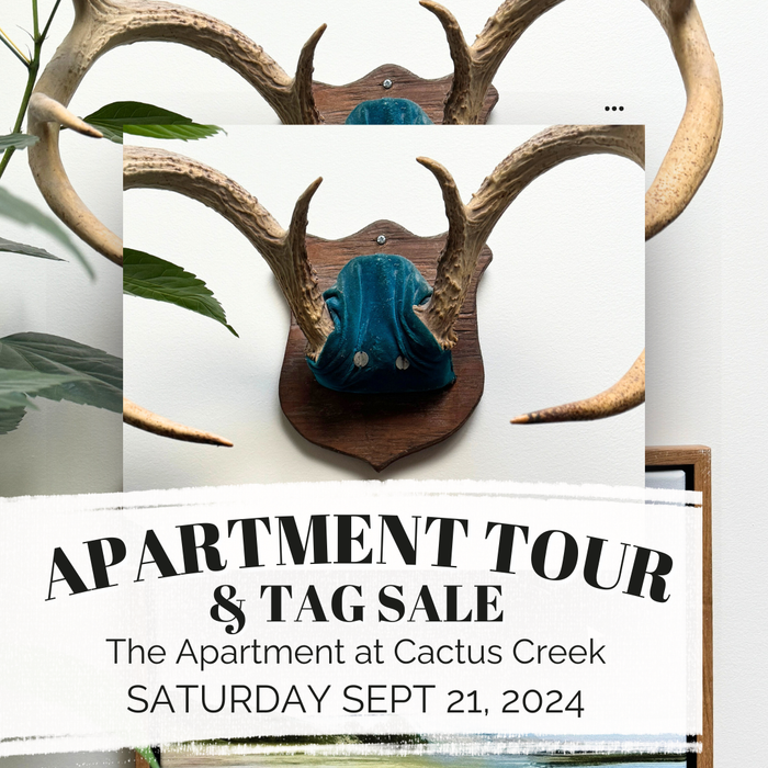 TOUR The Apartment at Cactus Creek: Saturday Sept 21, 2024