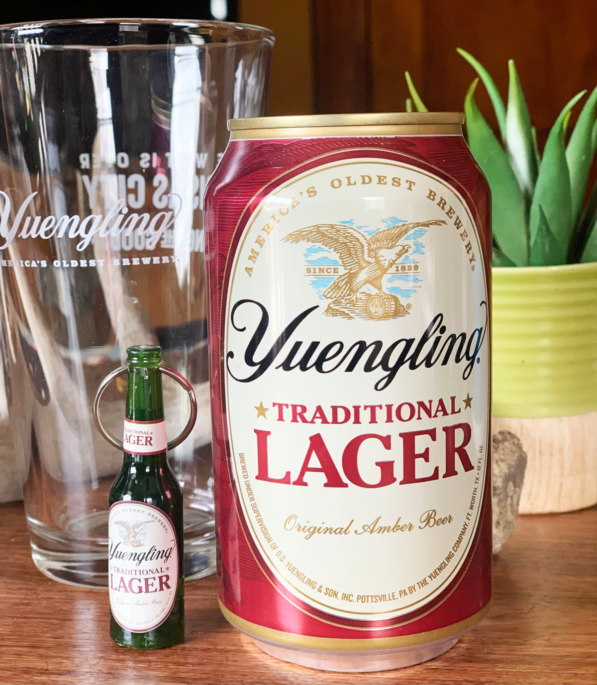 Yuengling Beer Is COMING SOON Cactus Creek Shop   Yuengling 1200x1377 