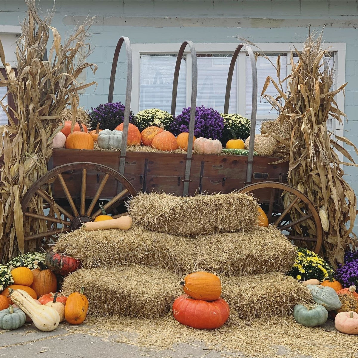 Fall Photo Ops in Weston Missouri — Cactus Creek Shop
