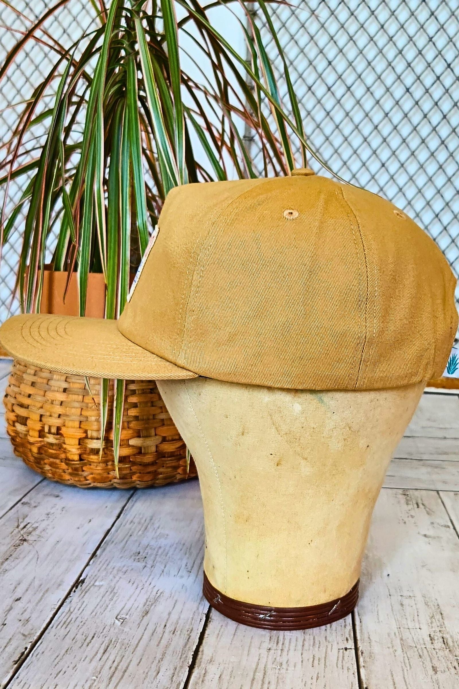 Desert Dreams Snap Back Hat