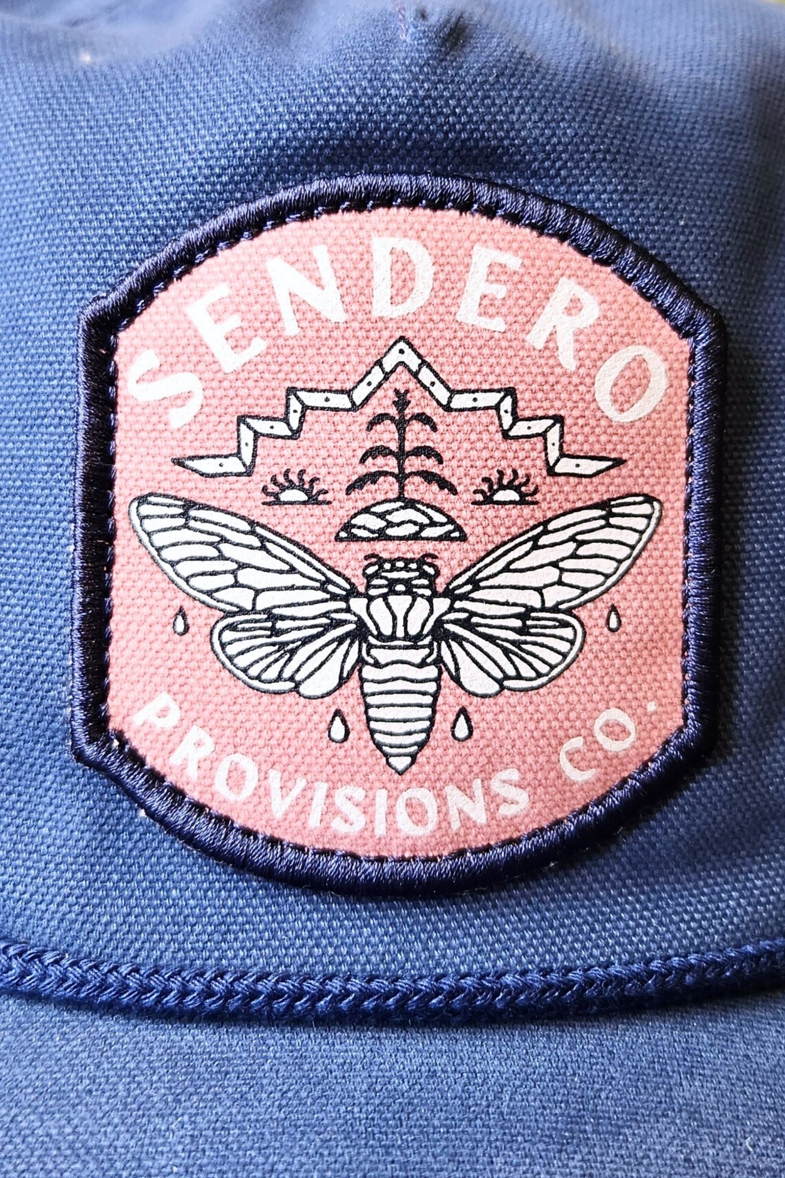 Periodical Cicada Snapback Hat