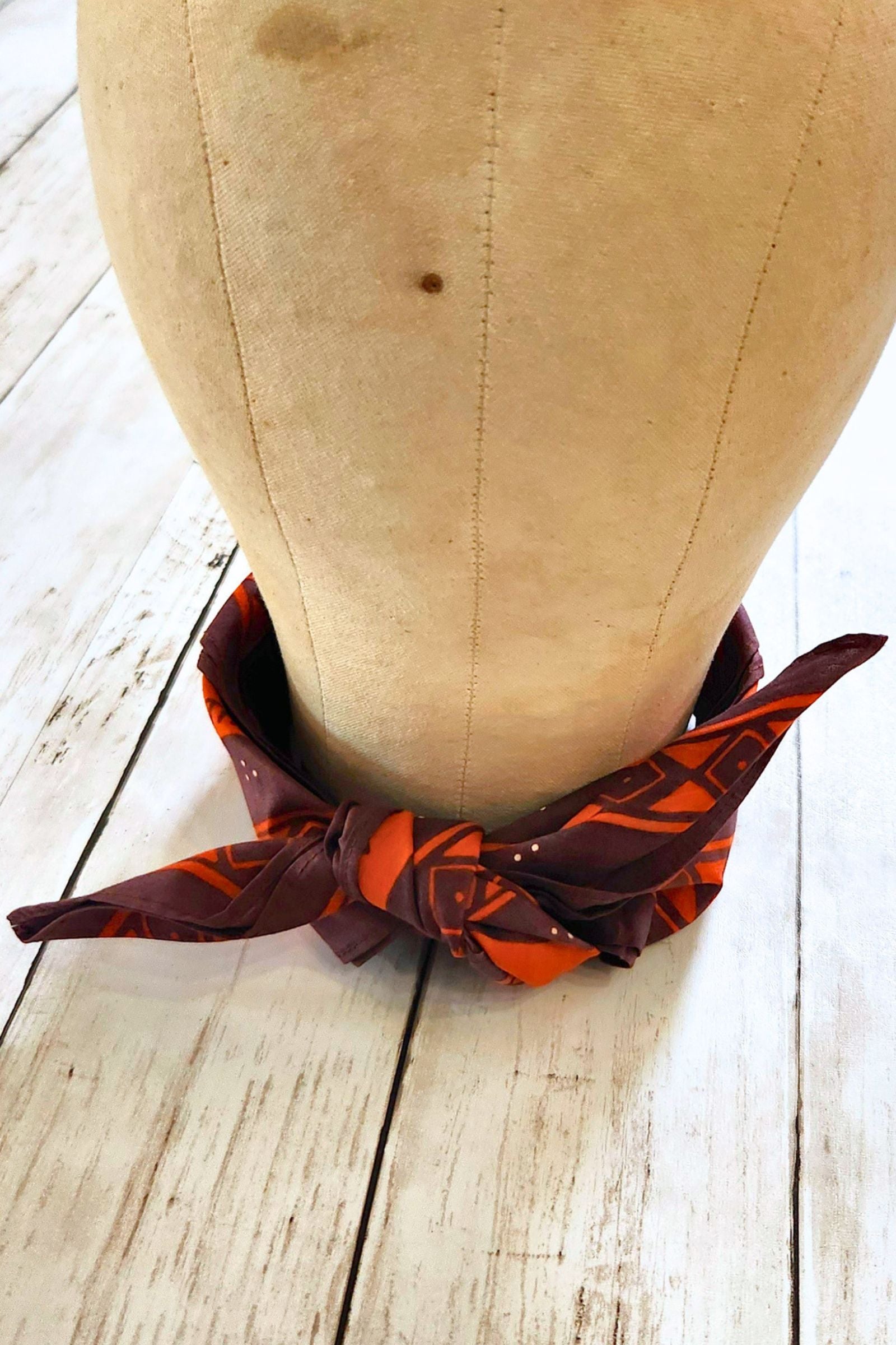 Western Desert Print Bandana