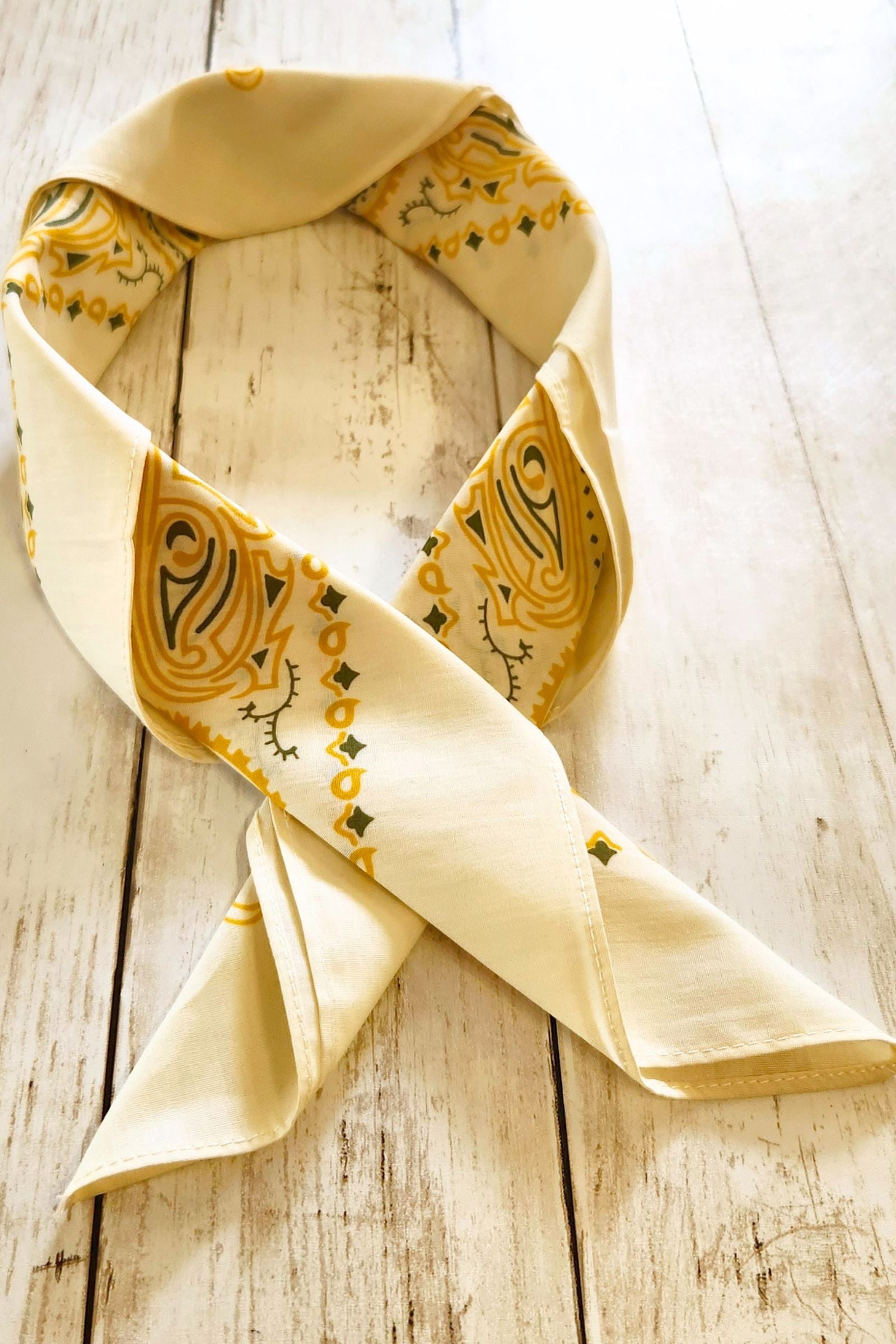 Mustard & Olive & Cream Paisley Bandana