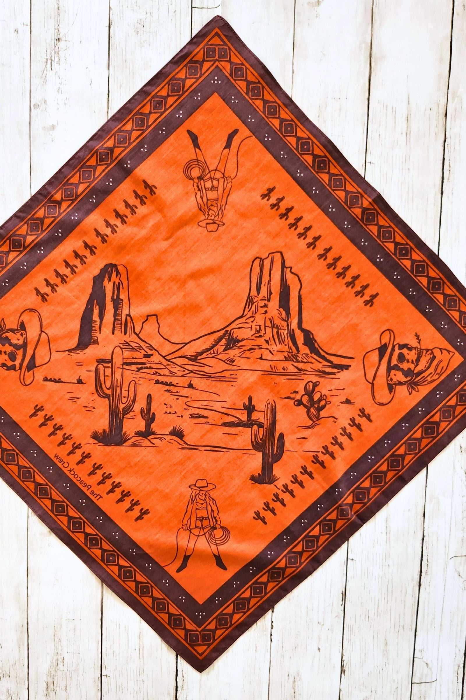 Western Desert Print Bandana