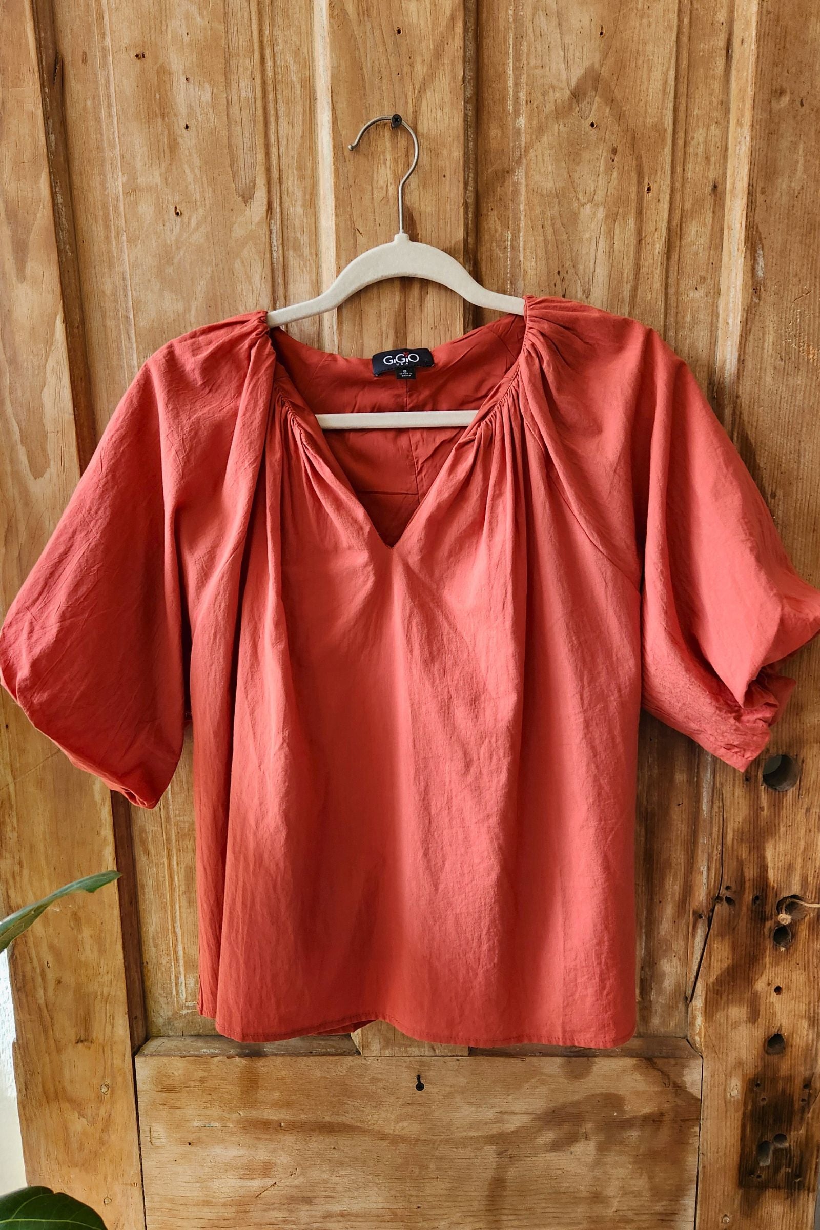 Brick Puff Sleeve V Neck Top