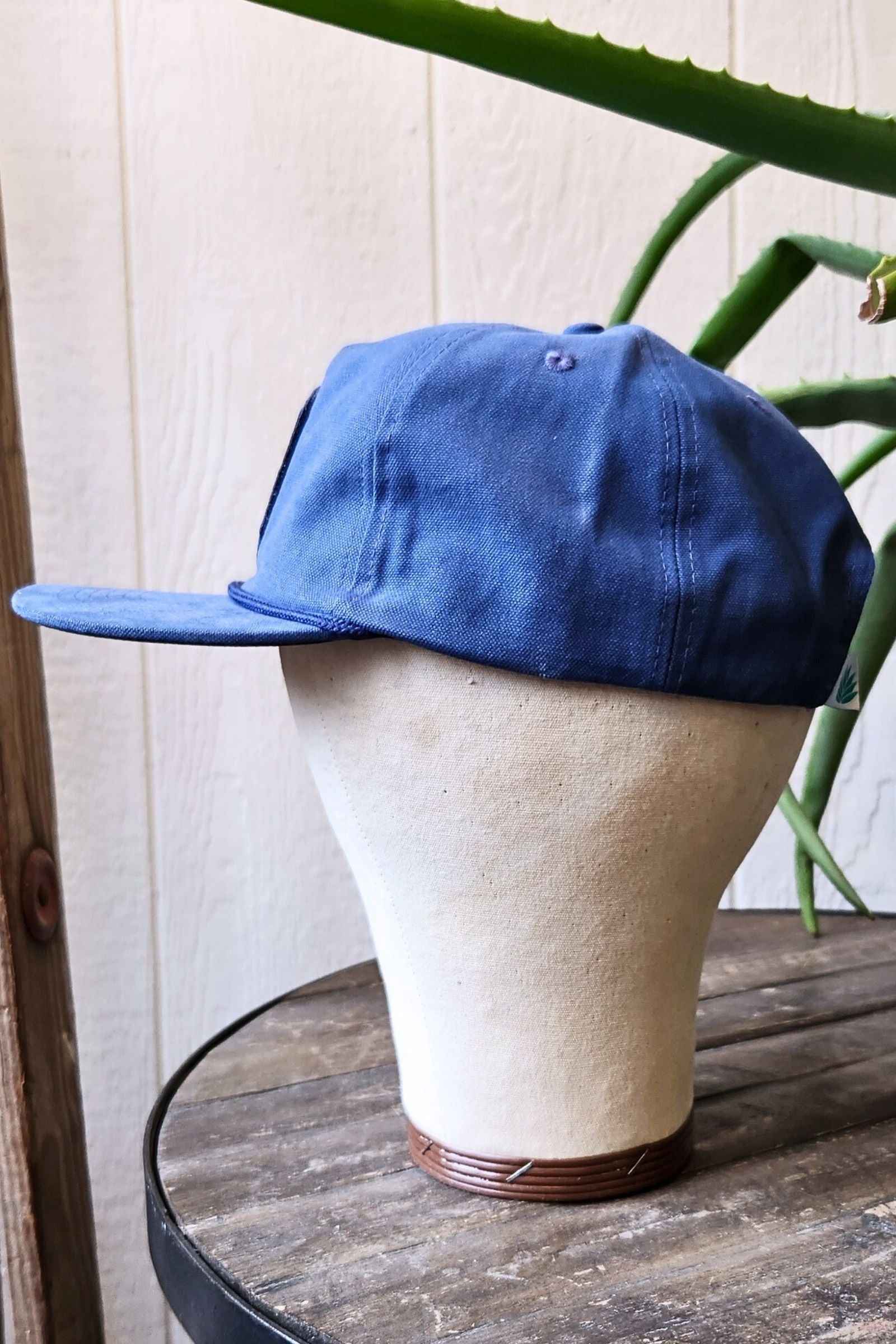 Periodical Cicada Snapback Hat