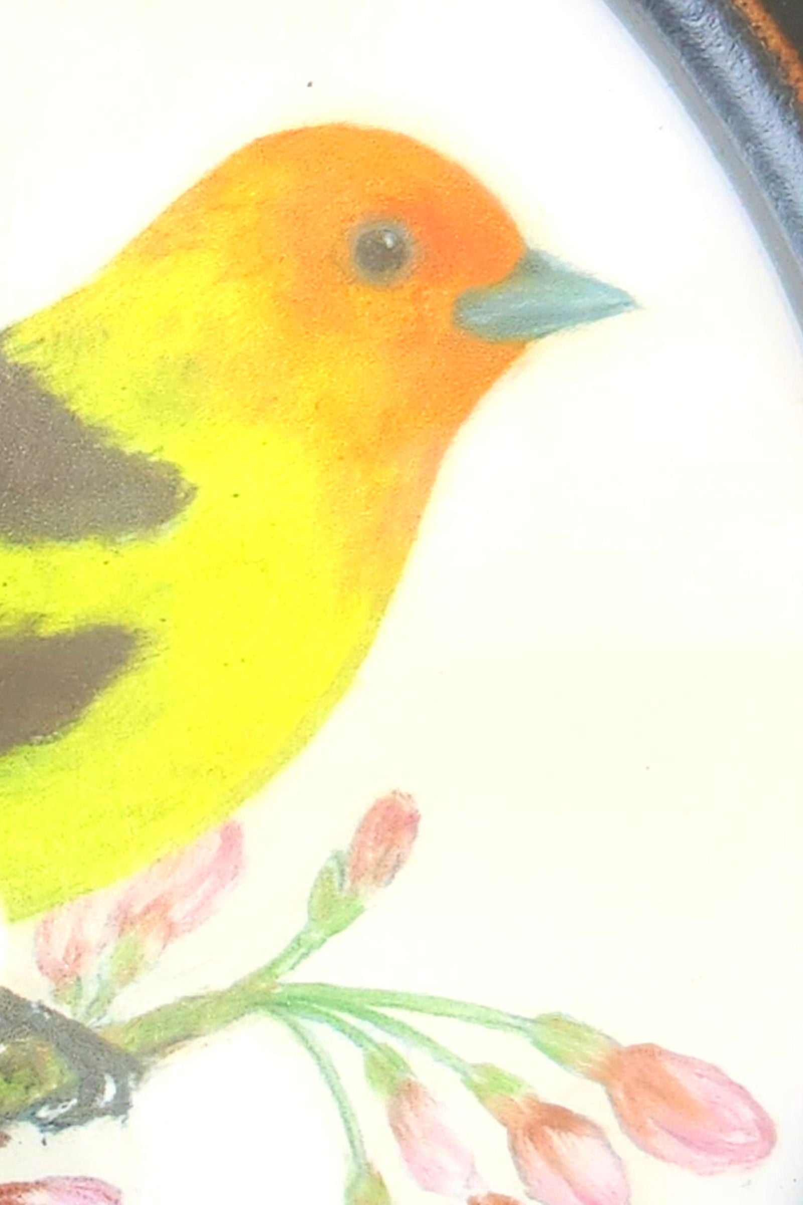 Round Bird Print