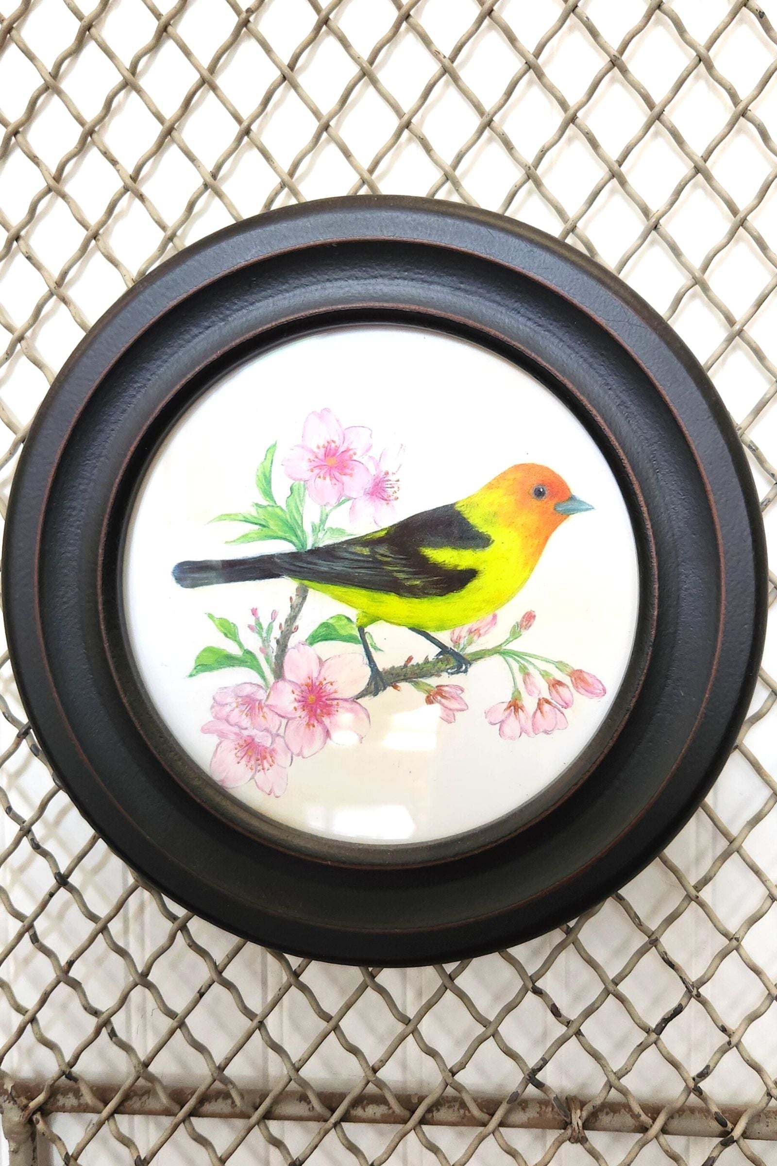 Round Bird Print