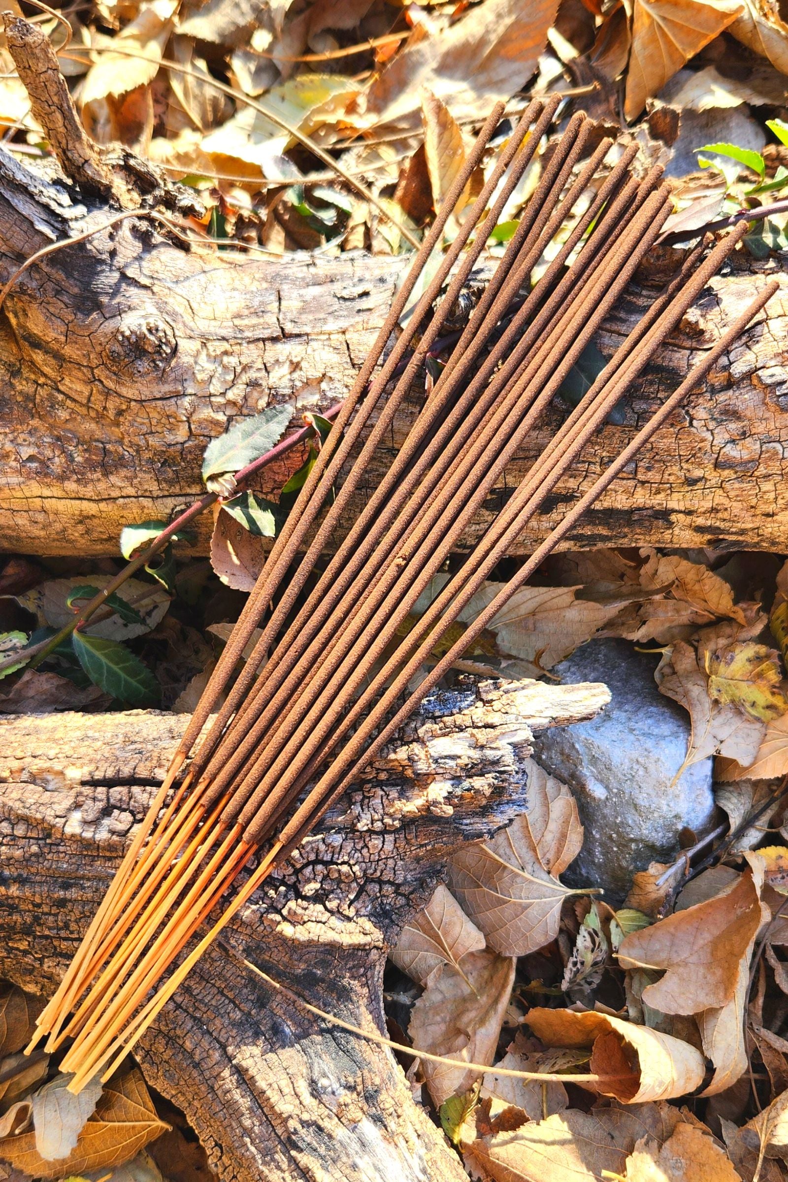 Redwoods Incense Pack