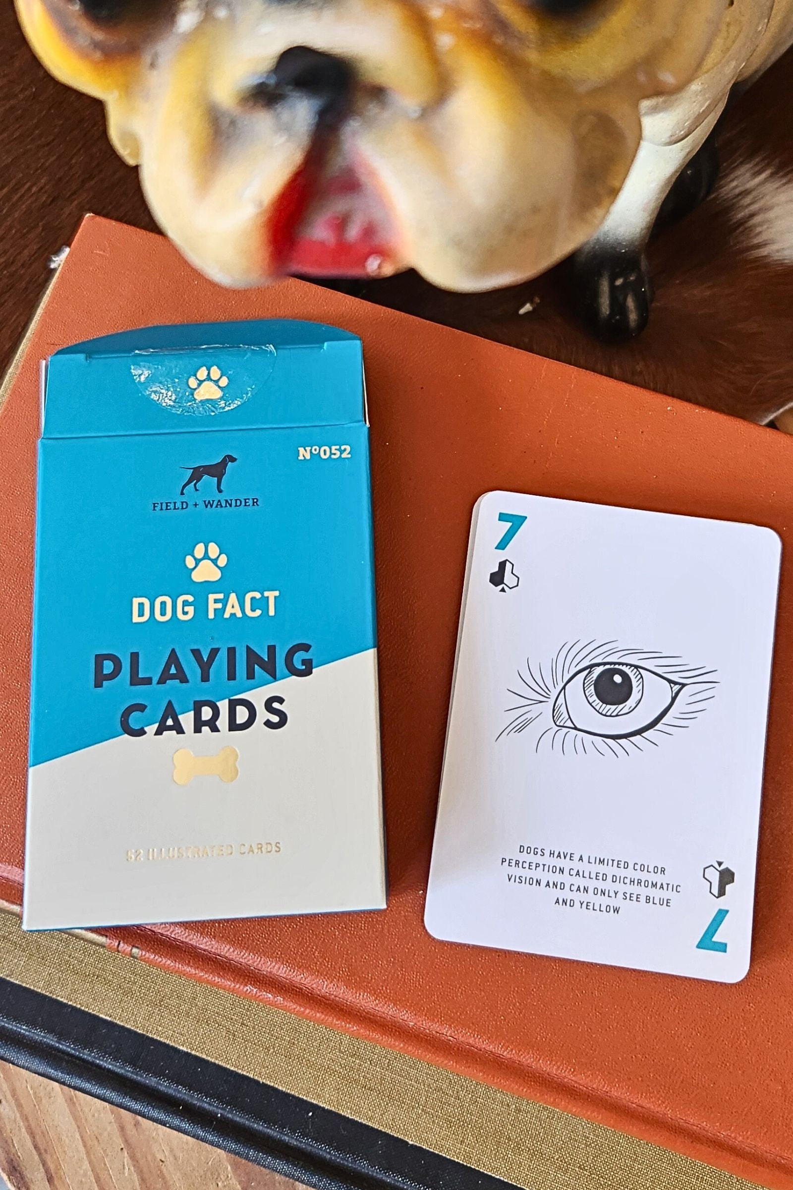 Dog Fact Playing Cards