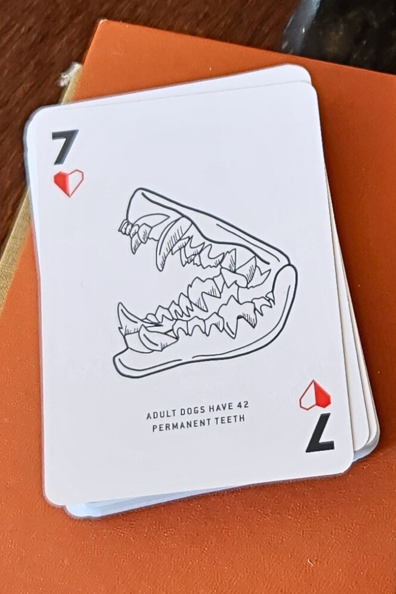 Dog Fact Playing Cards