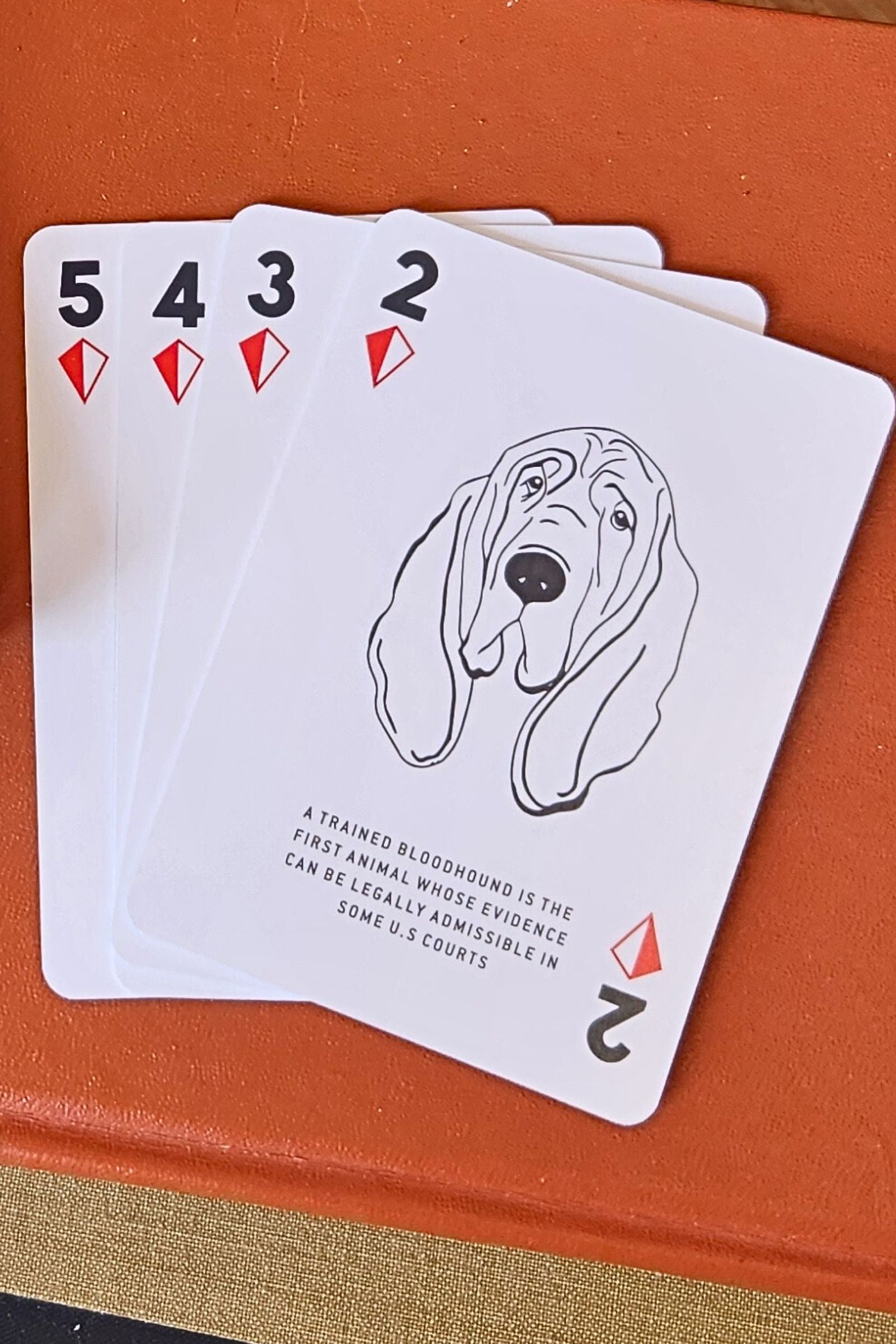 Dog Fact Playing Cards