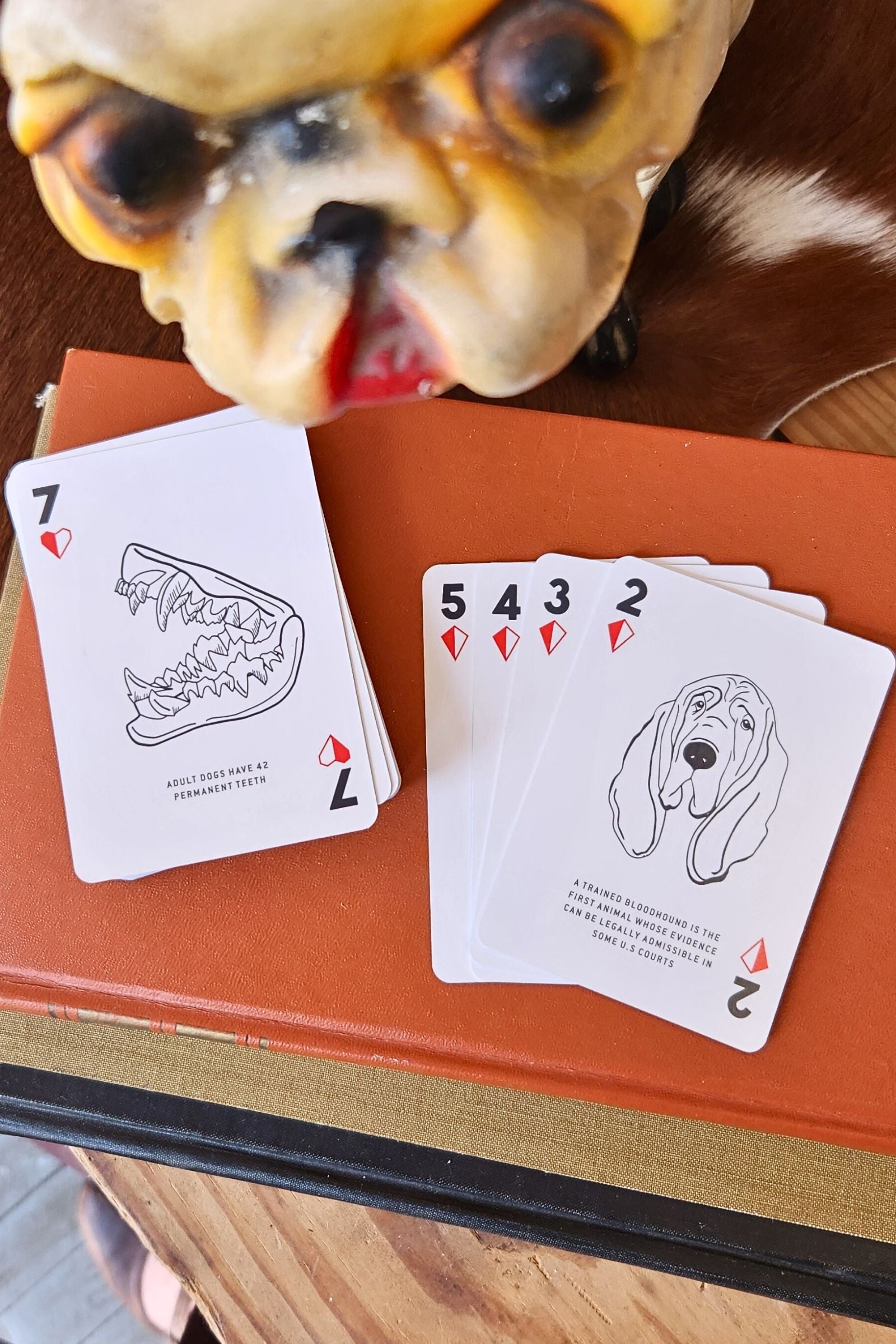 Dog Fact Playing Cards