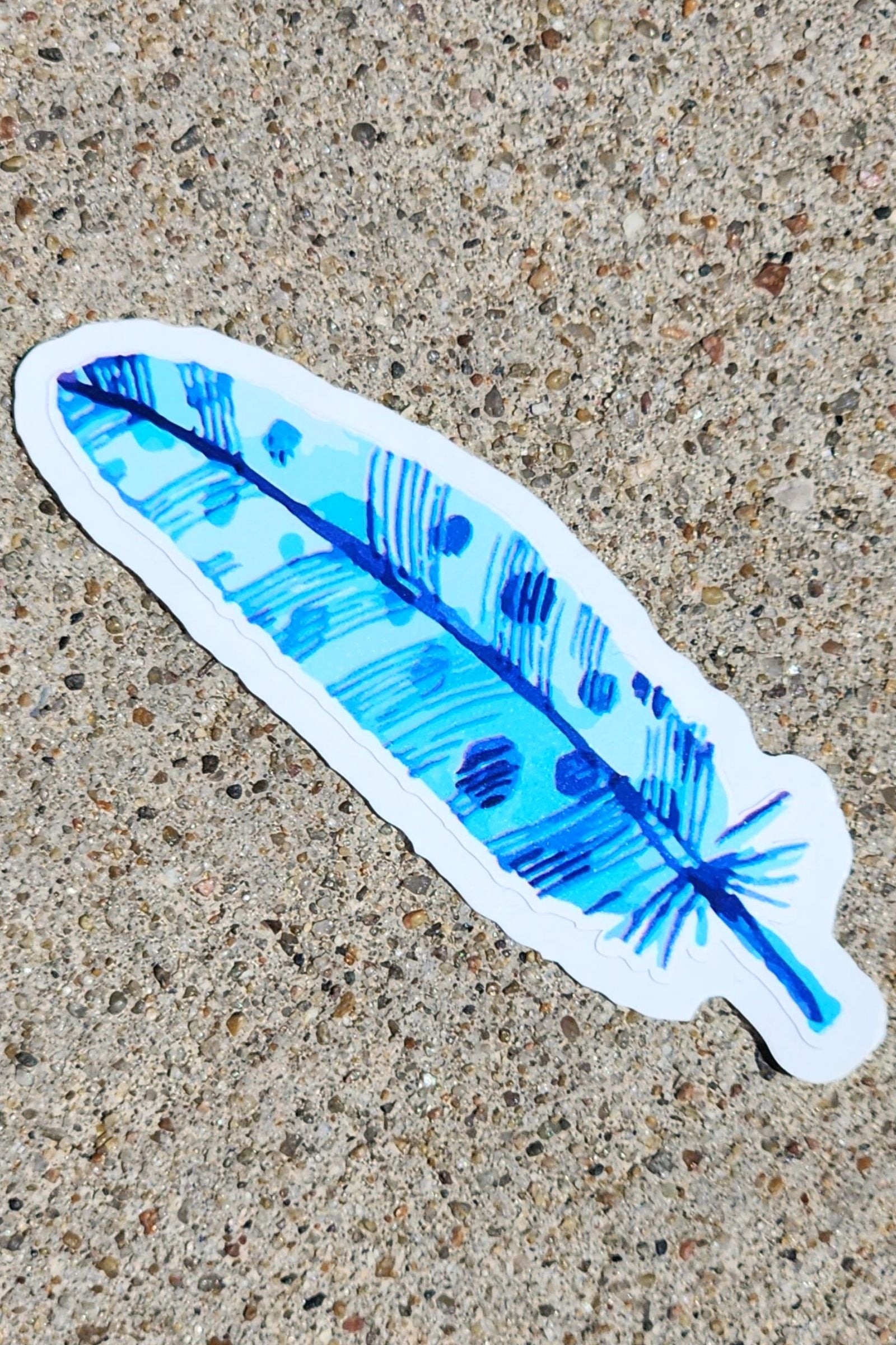 Blue Jay Feather Sticker