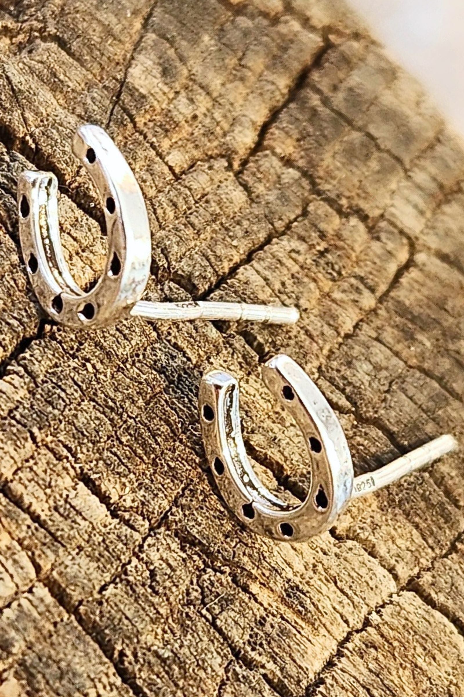 Horseshoe Silver Stud Earrings