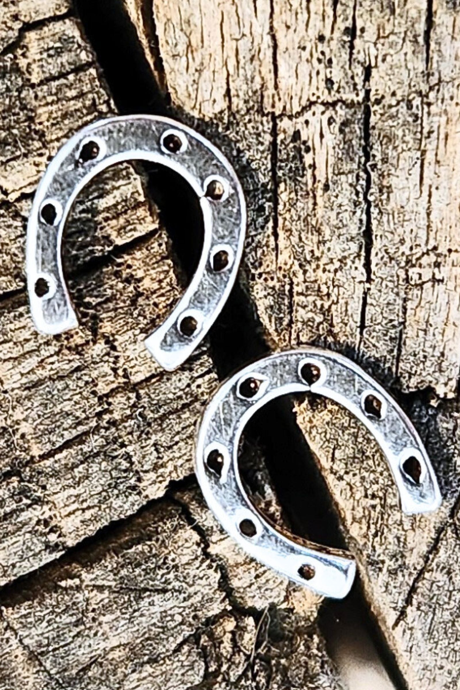 Horseshoe Silver Stud Earrings