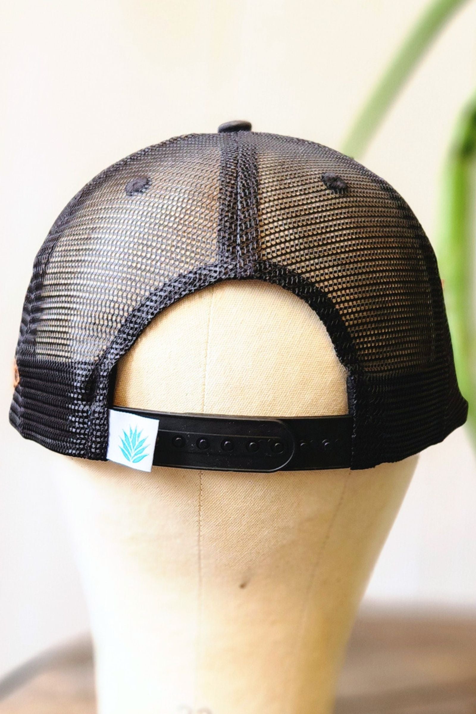 Dillo Rider Snapback Hat