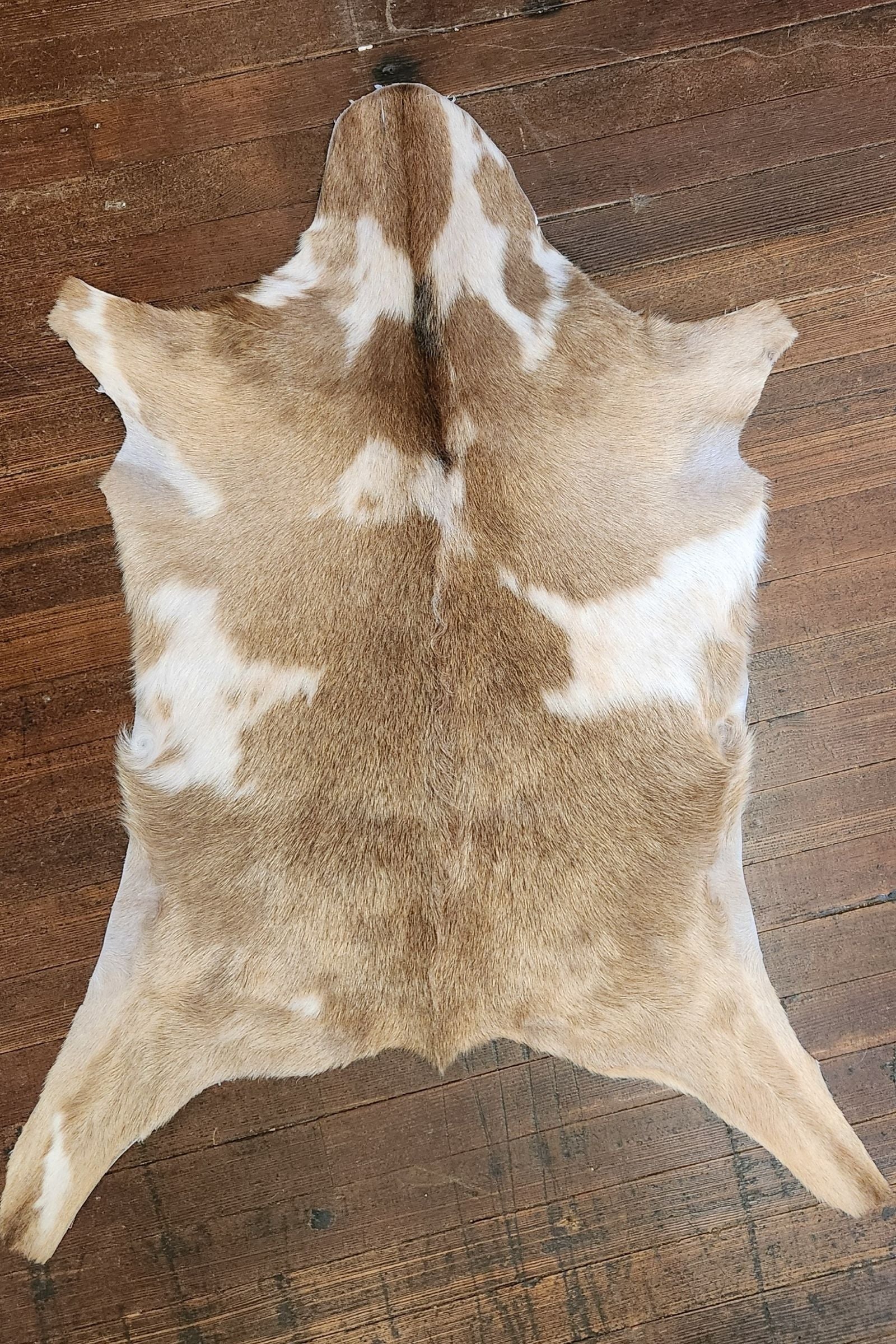Goat Hide Rug #371