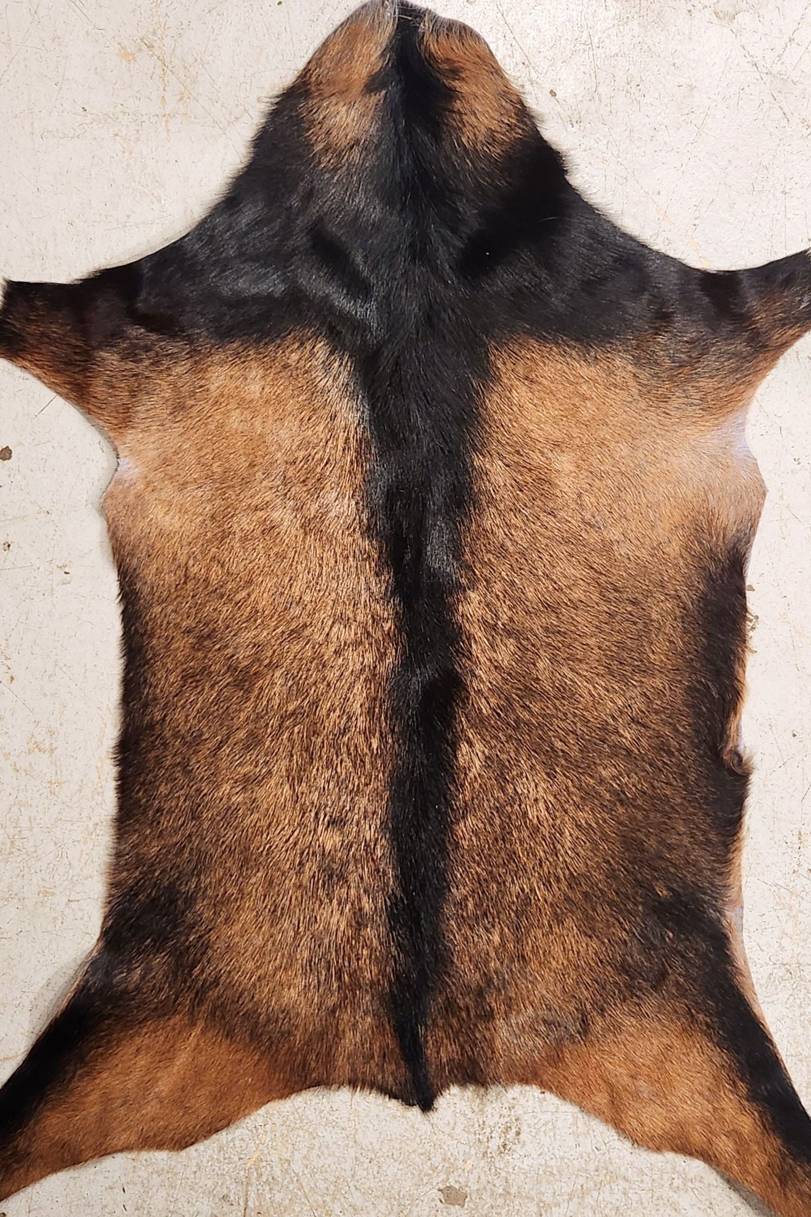 Black & Brown Goat Hide Rug #396