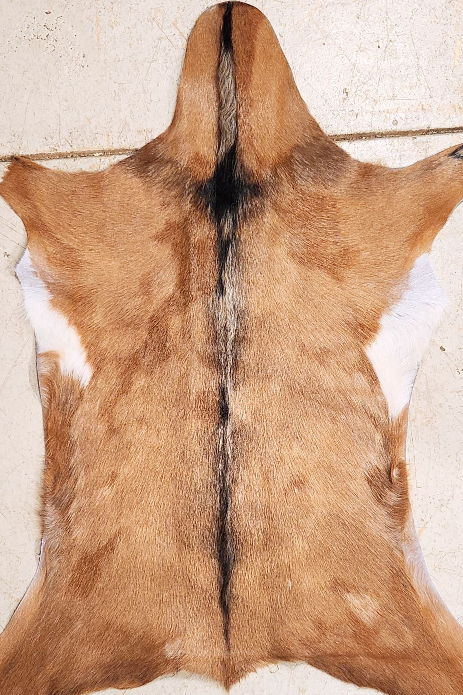 Tan Goat Hide Rug #398