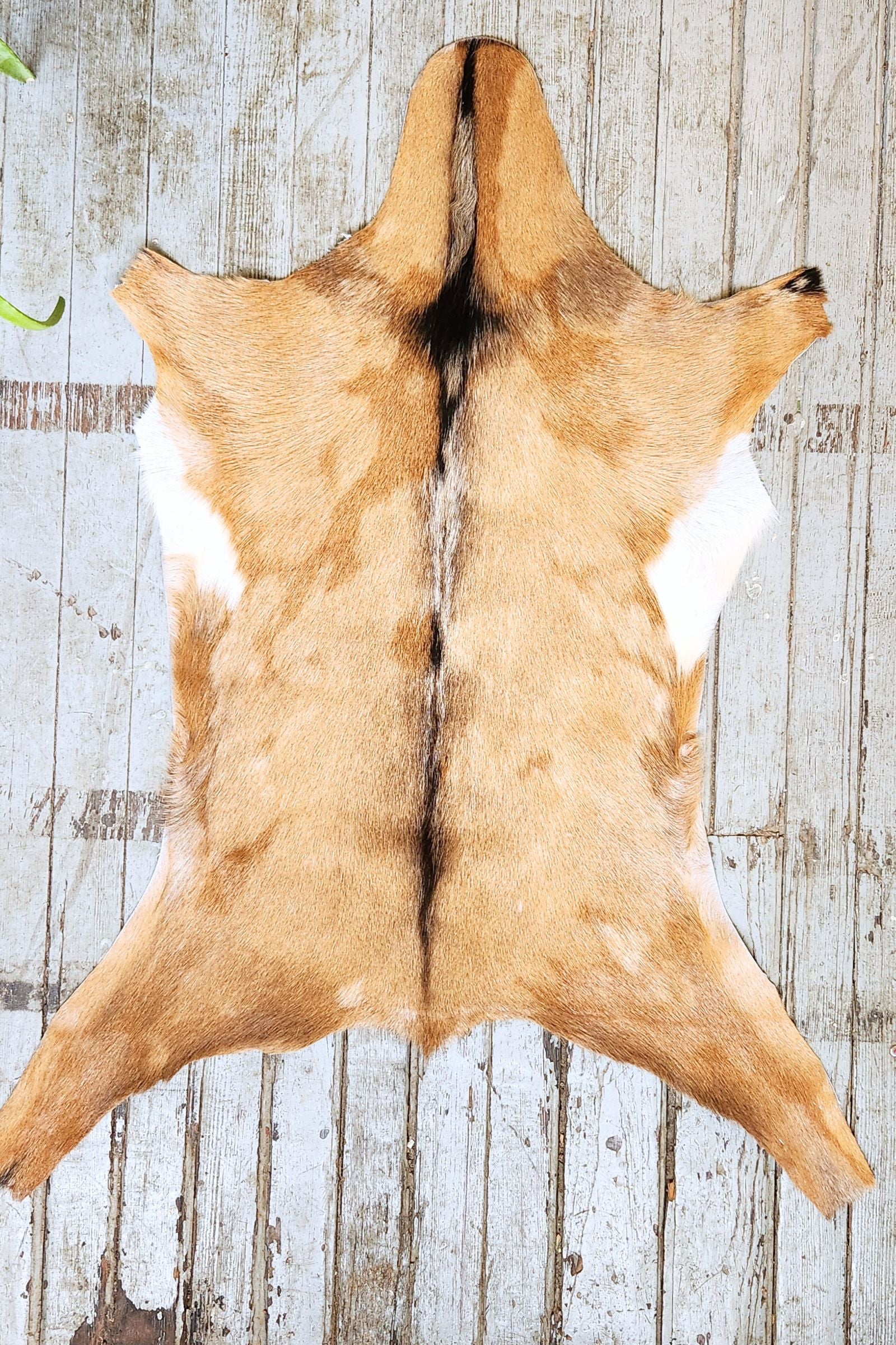 Tan Goat Hide Rug #398