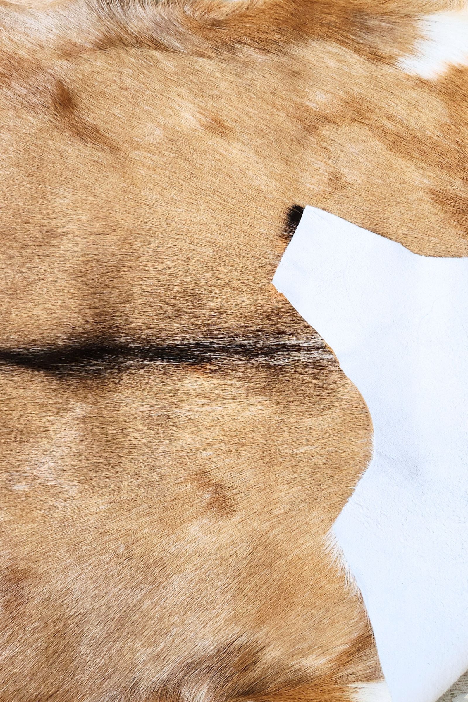 Tan Goat Hide Rug #398