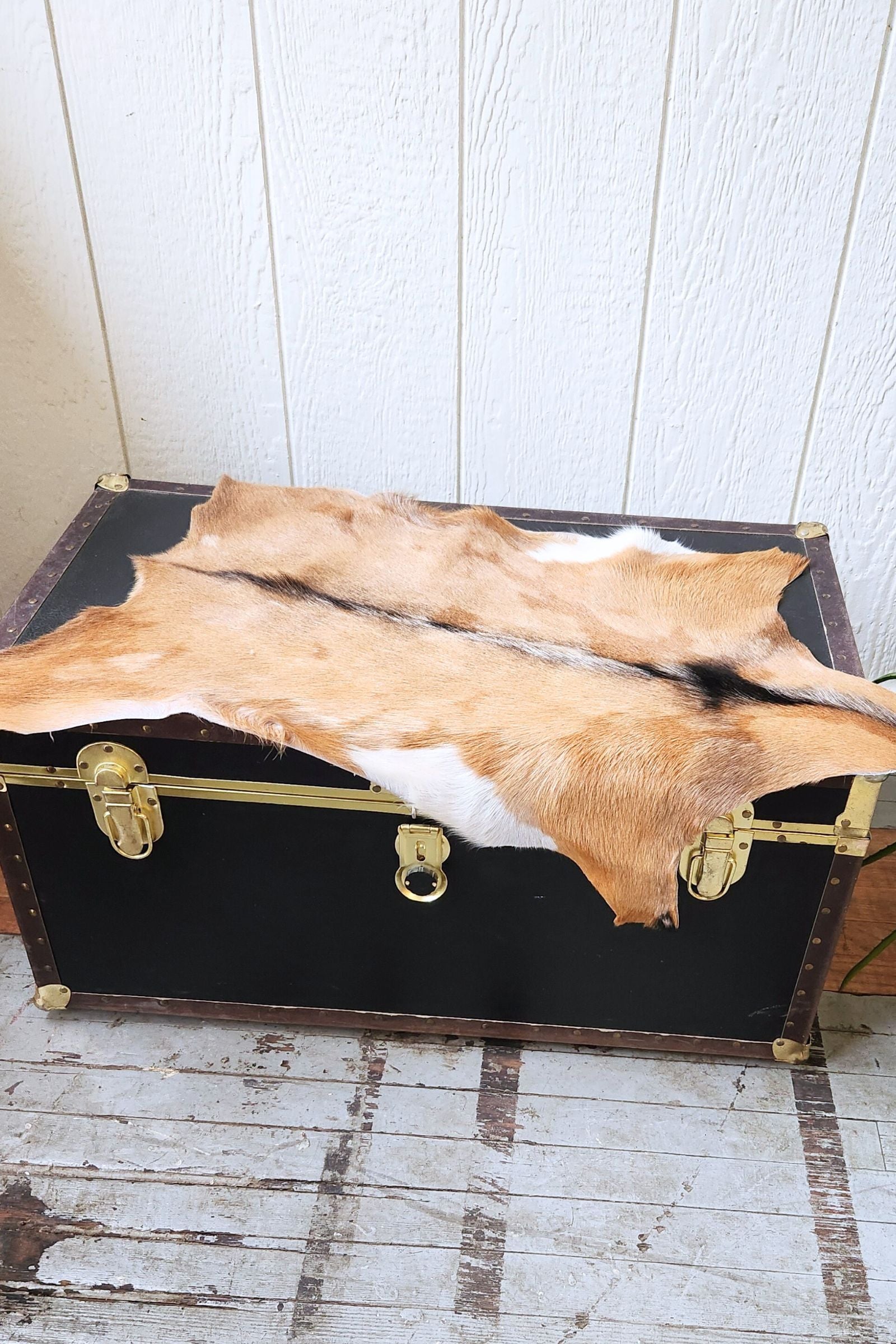 Tan Goat Hide Rug #398