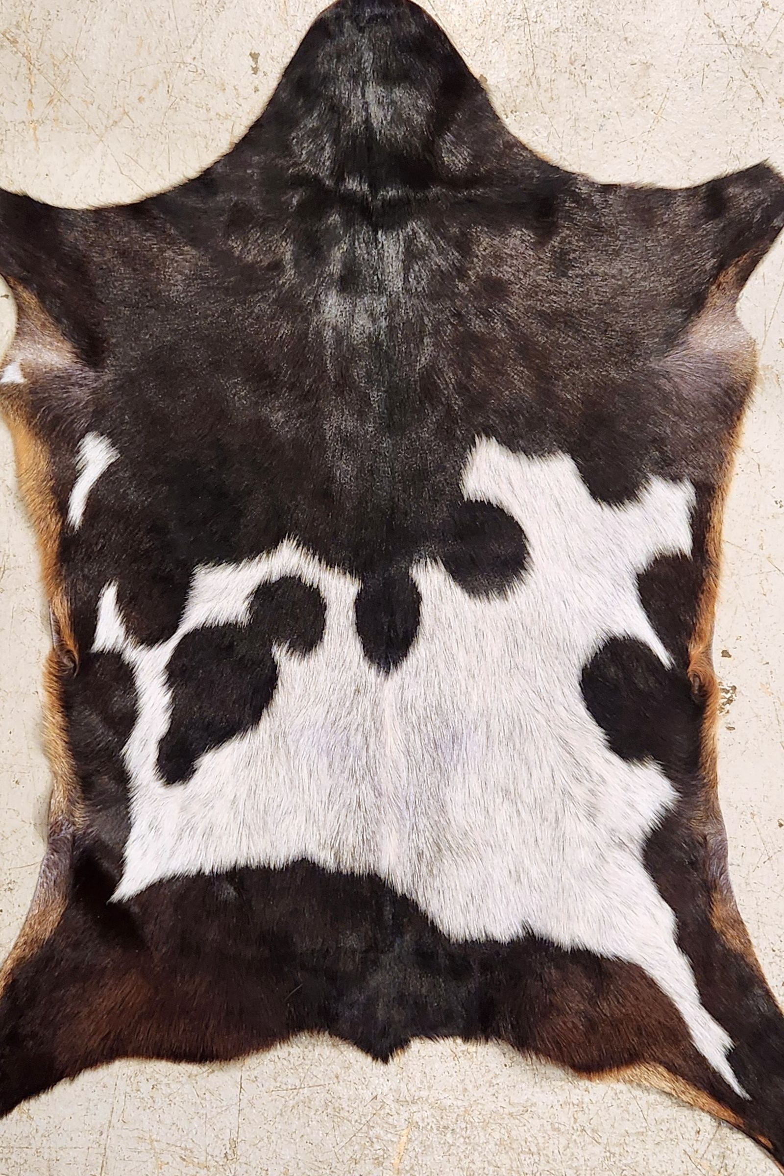 Dark Brown & White Goat Hide Rug #406