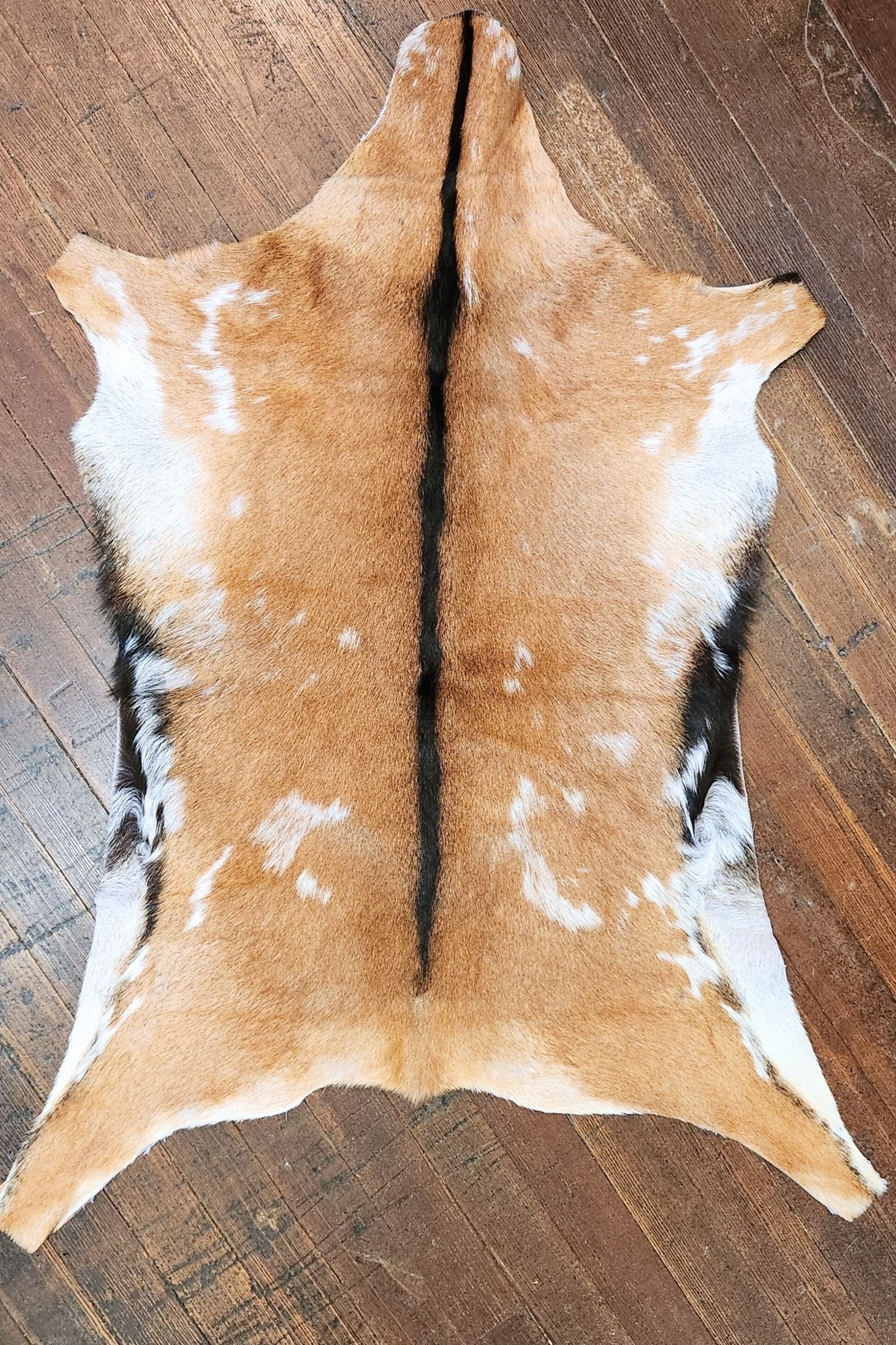 Brown Goat Hide Rug #418