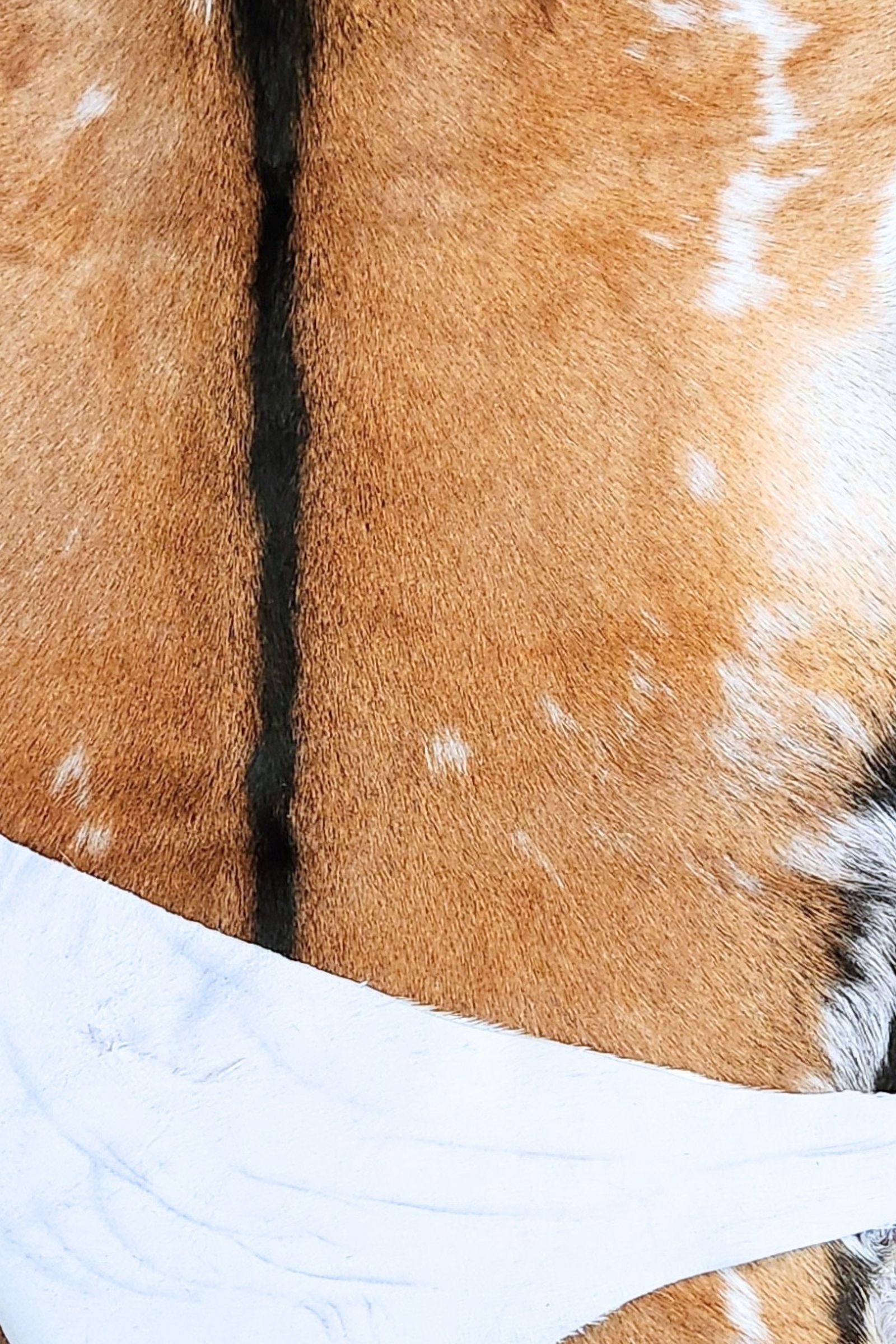 Brown Goat Hide Rug #418