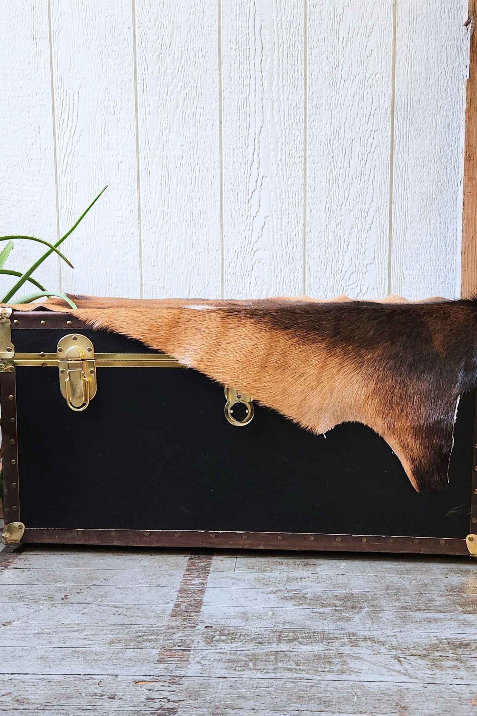 Brown & Black Goat Hide Rug #419