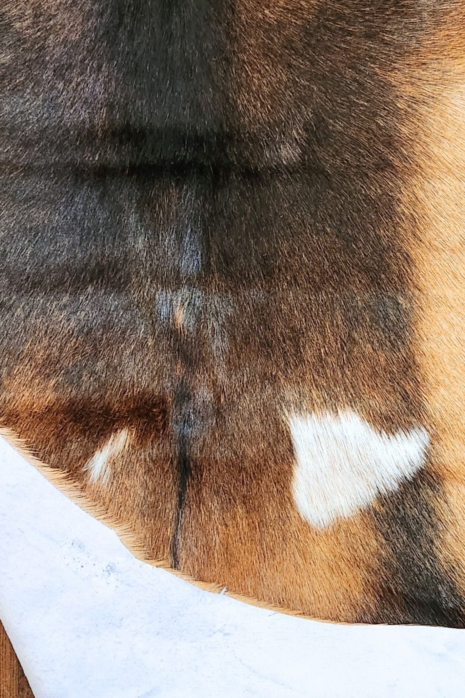 Brown & Black Goat Hide Rug #419