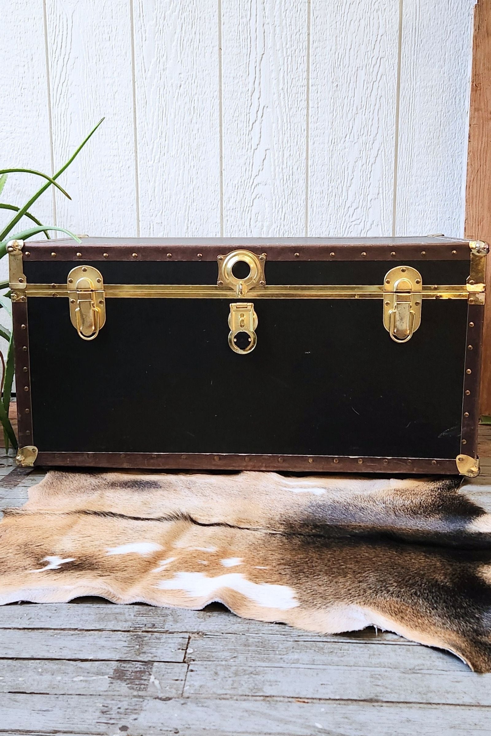 Black & Tan Goat Hide Rug #424