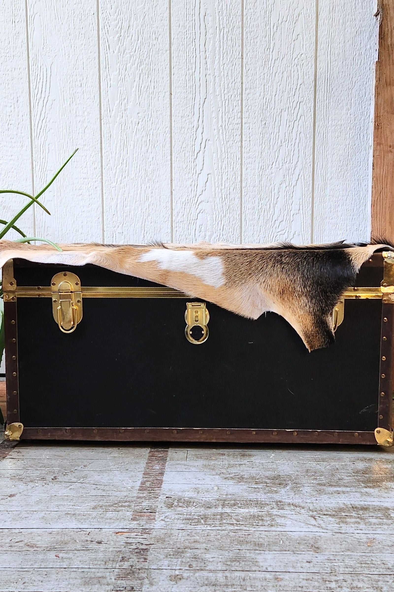 Black & Tan Goat Hide Rug #424