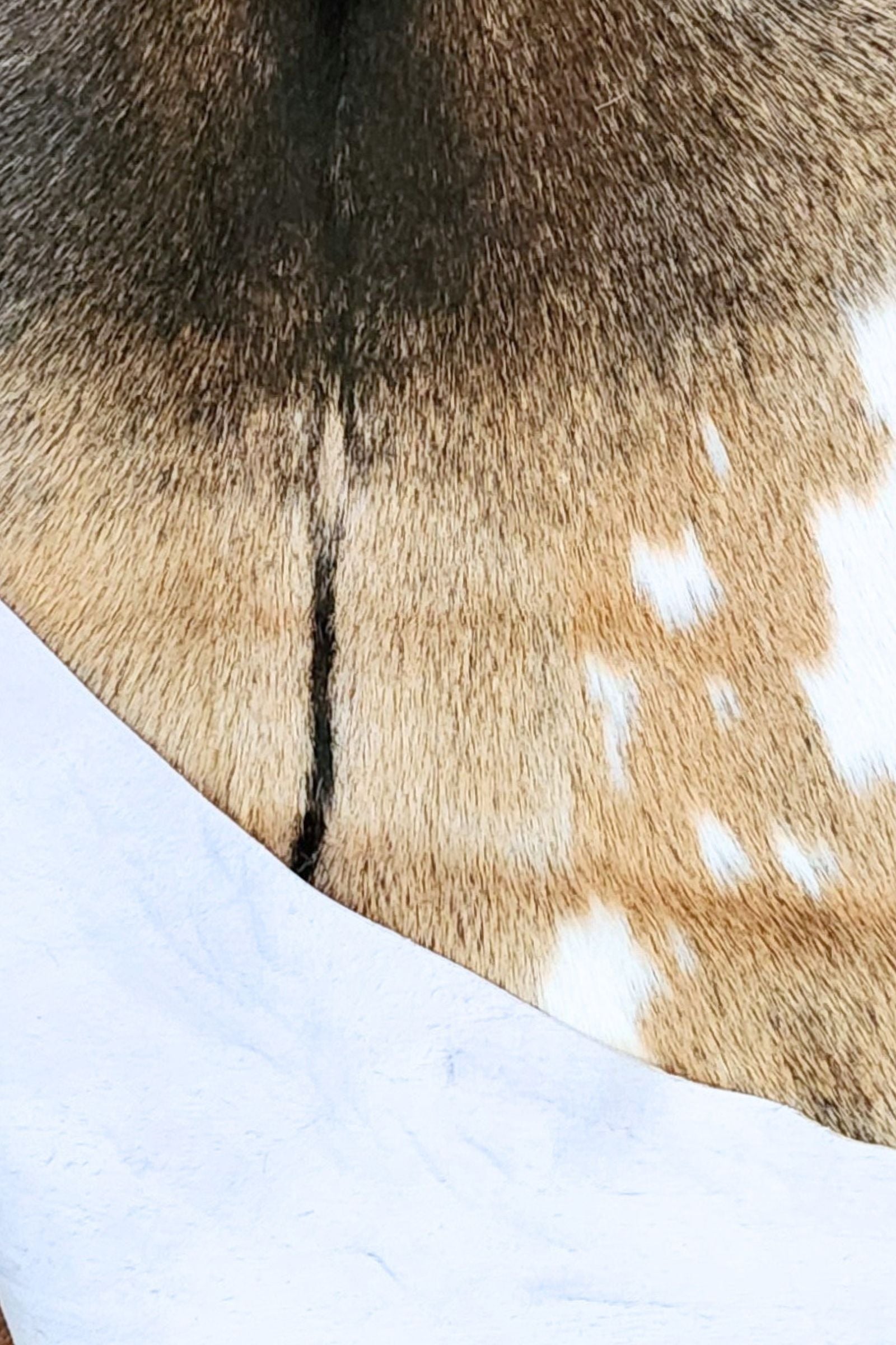 Black & Tan Goat Hide Rug #424