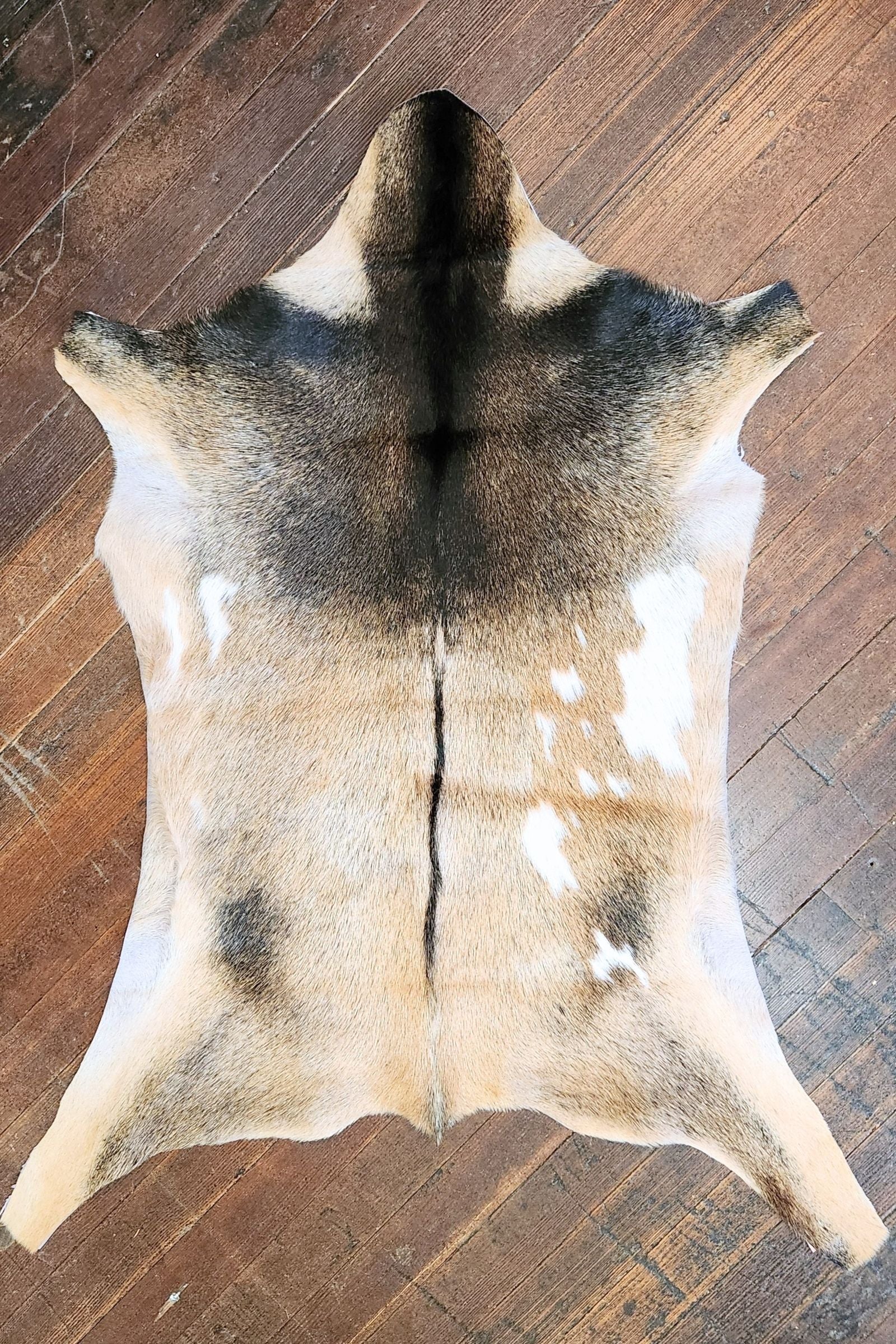 Black & Tan Goat Hide Rug #424