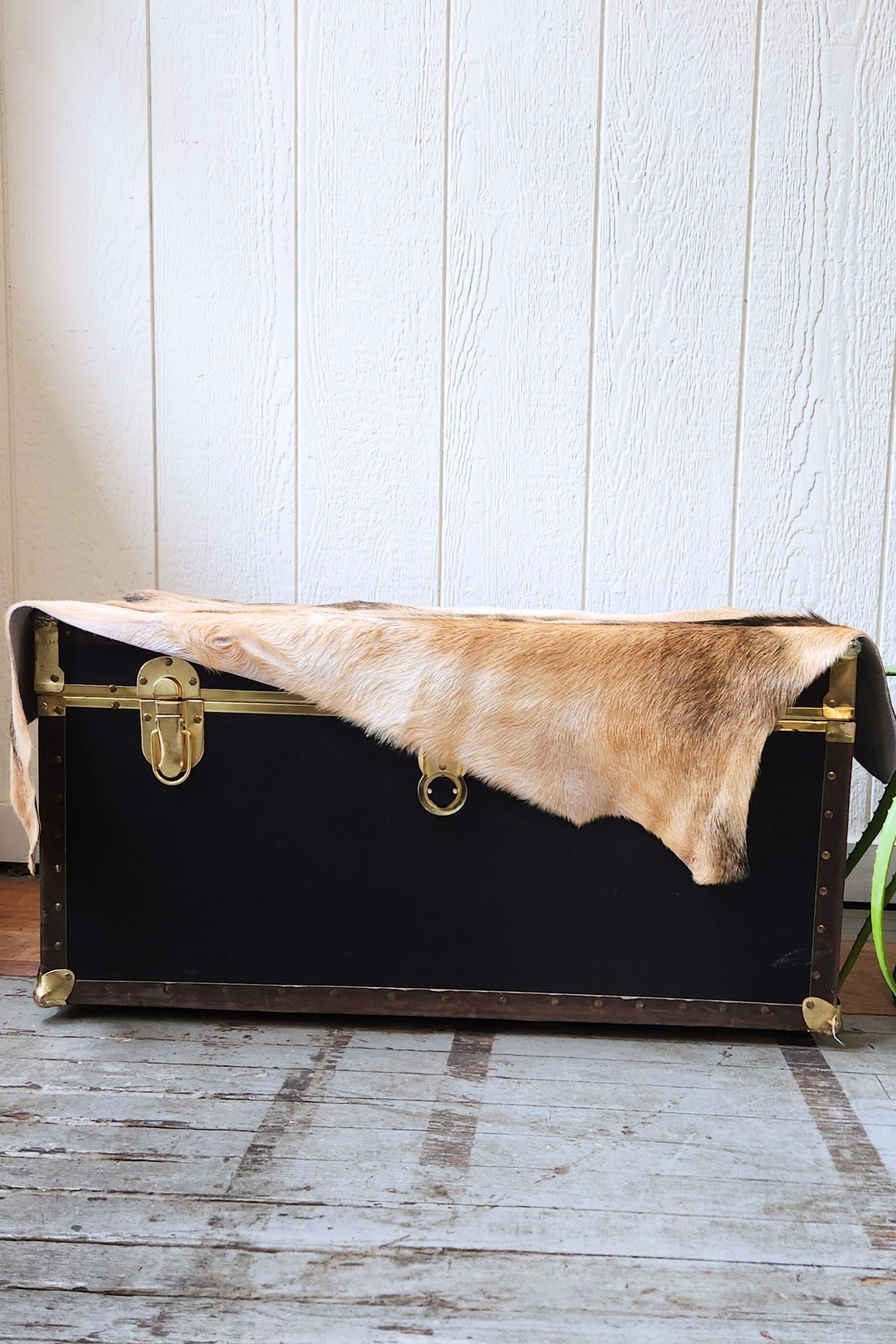 Tan & Black Goat Hide Rug #426