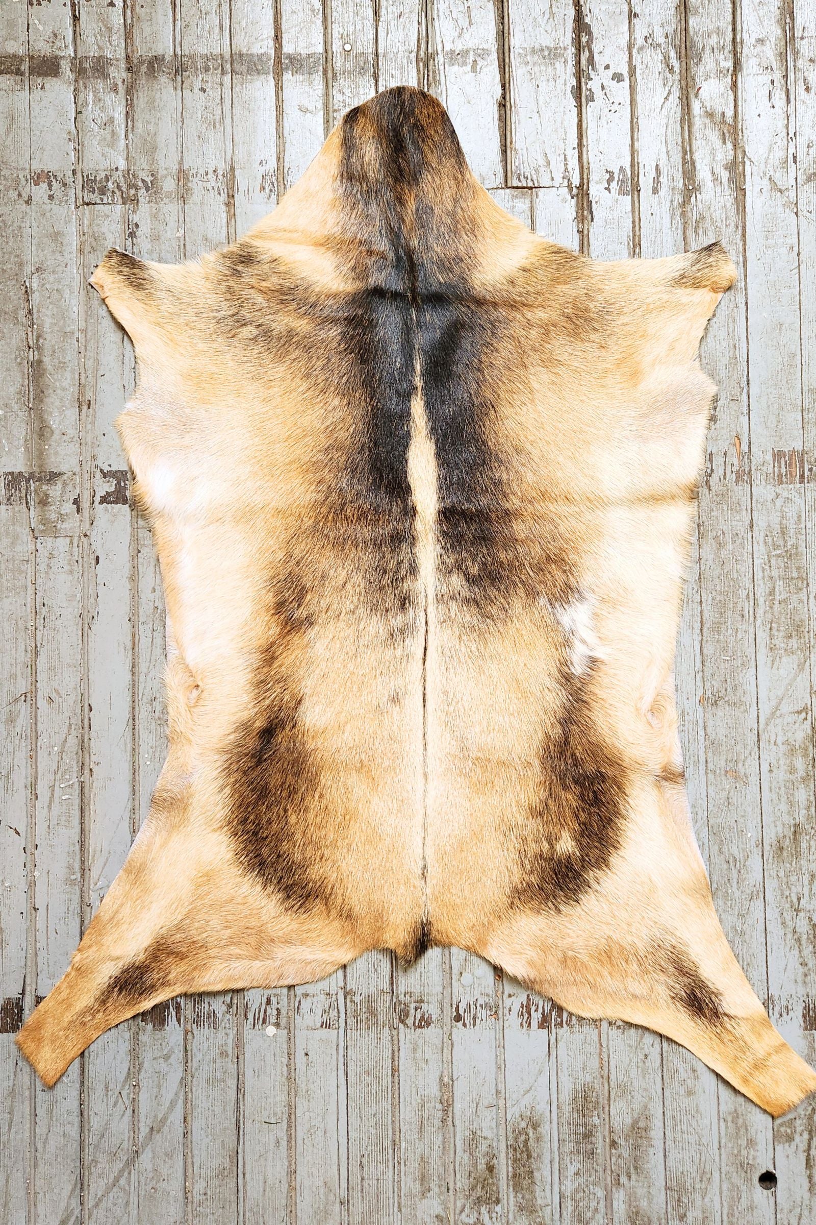 Tan & Black Goat Hide Rug #426