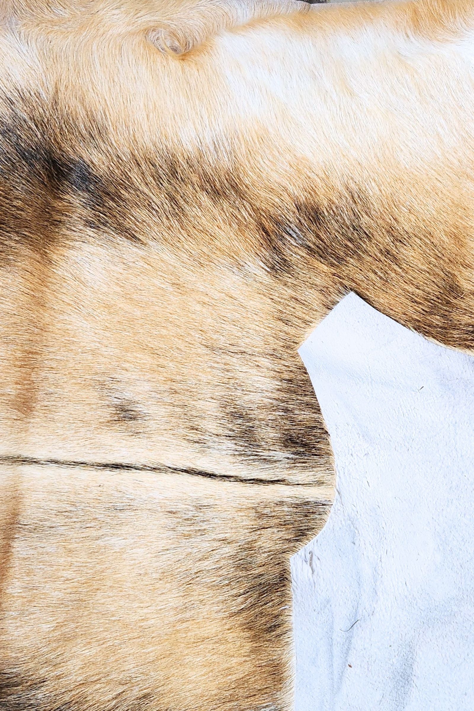 Tan & Black Goat Hide Rug #426