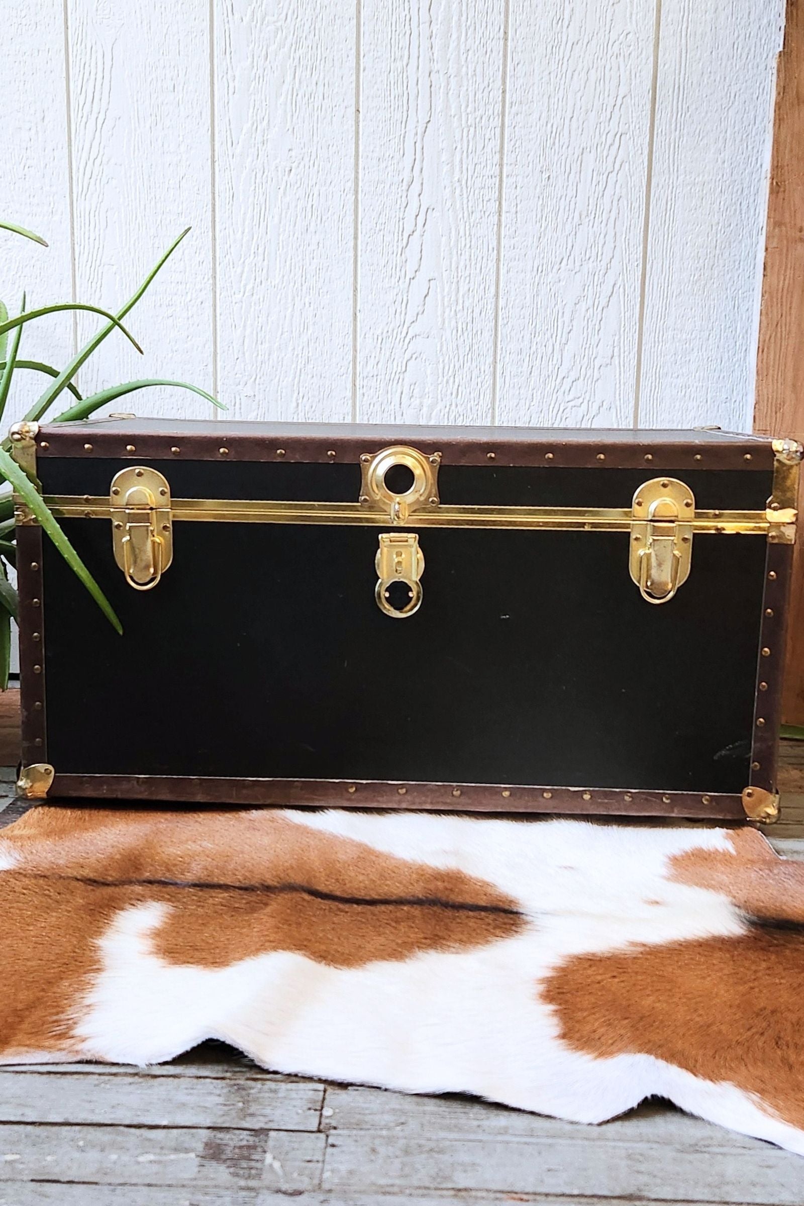 Reddish Brown & White Goat Hide Rug #427