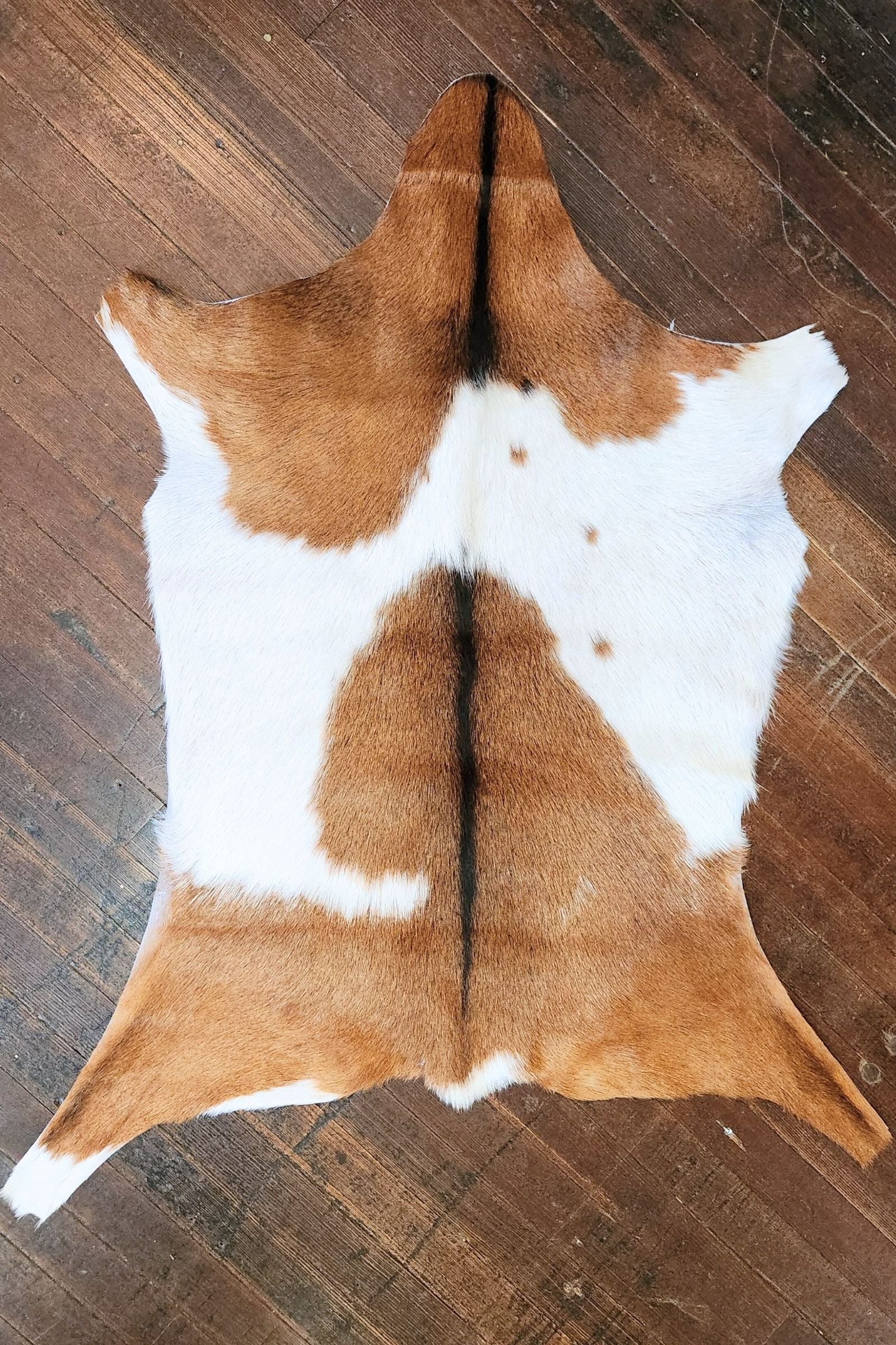 Reddish Brown & White Goat Hide Rug #427