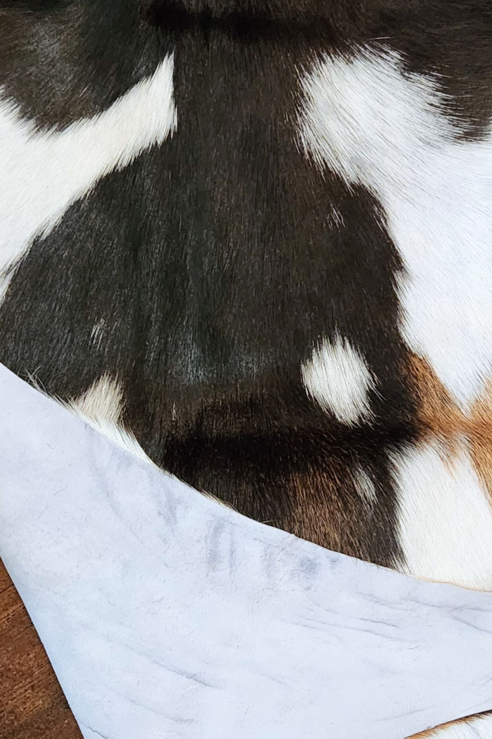 Tri Color Goat Hide Rug #430