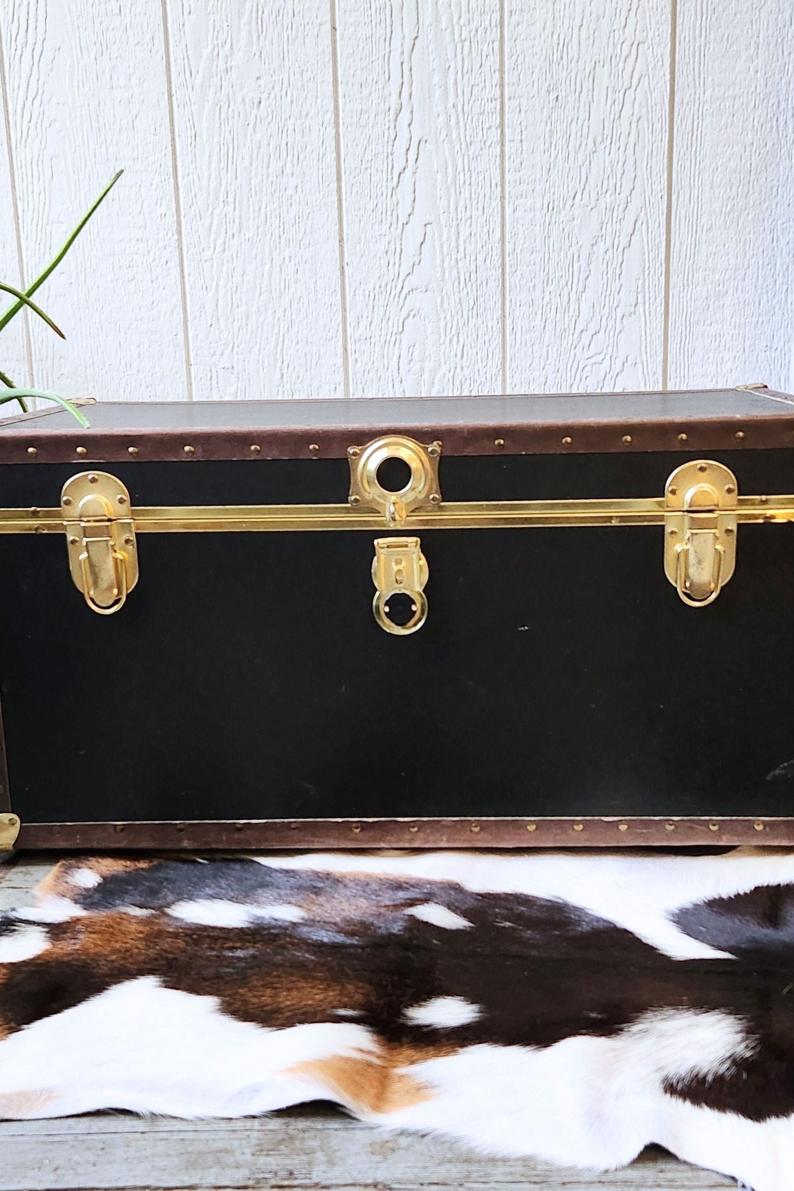 Tri Color Goat Hide Rug #430