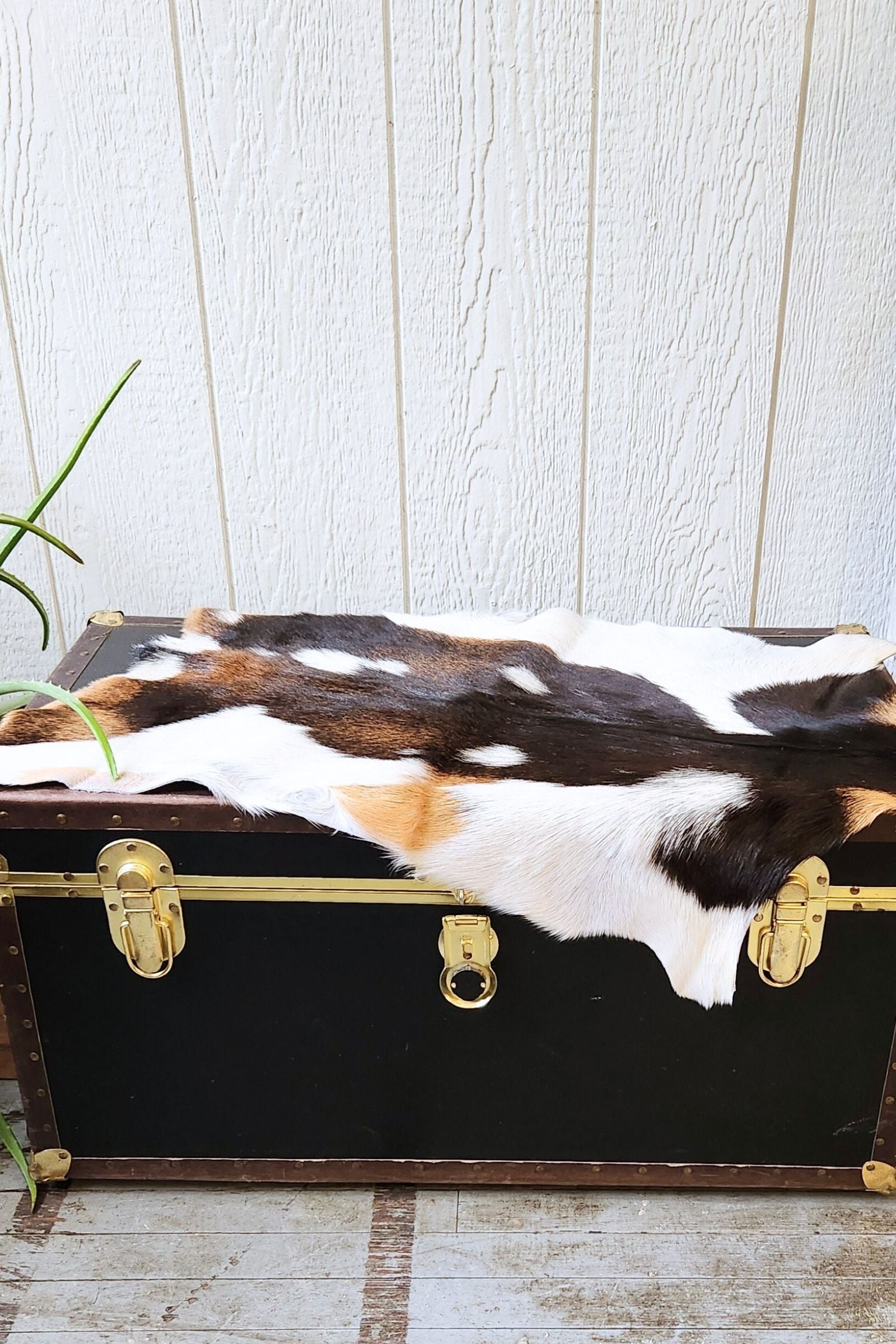 Tri Color Goat Hide Rug #430