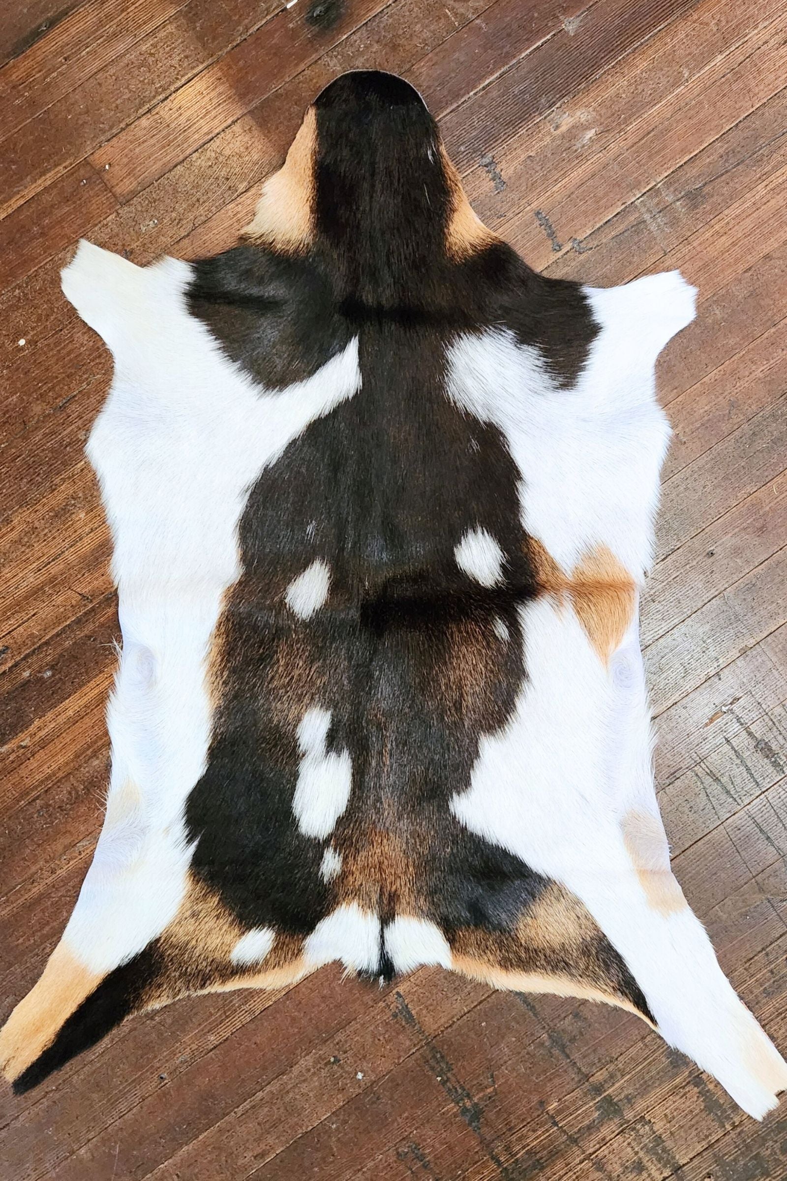 Tri Color Goat Hide Rug #430