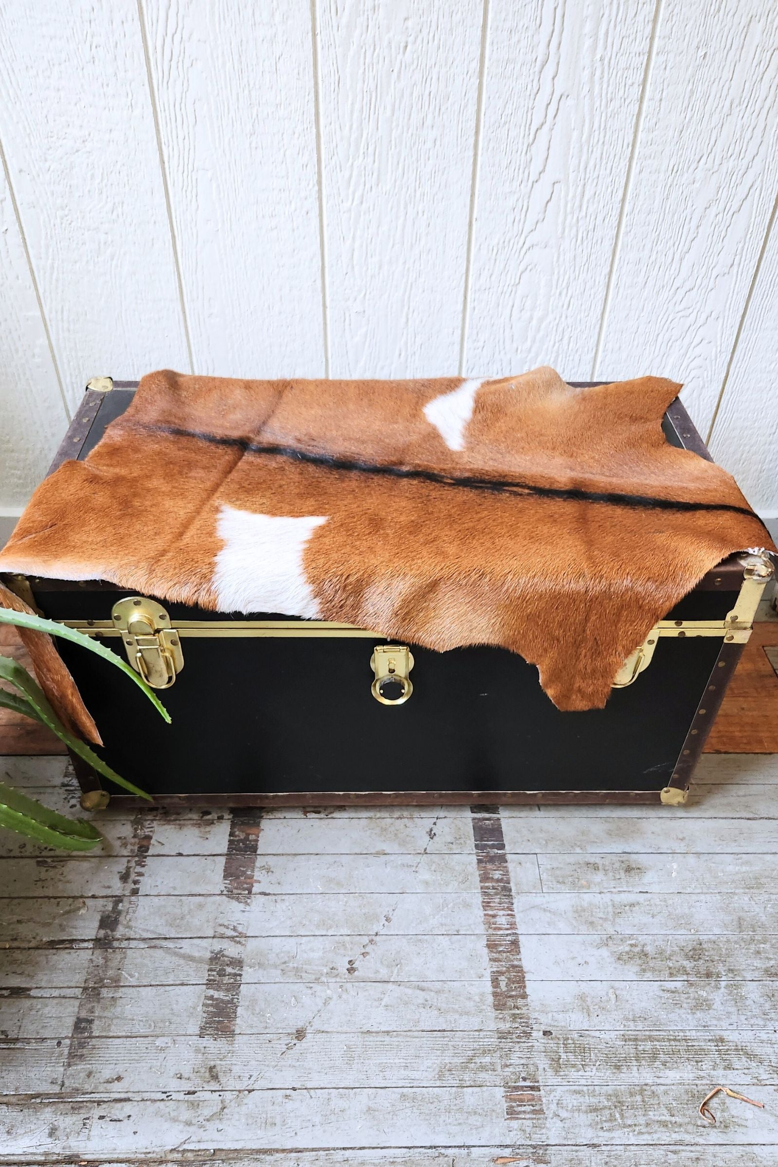 Brown & White Goat Hide Rug #432