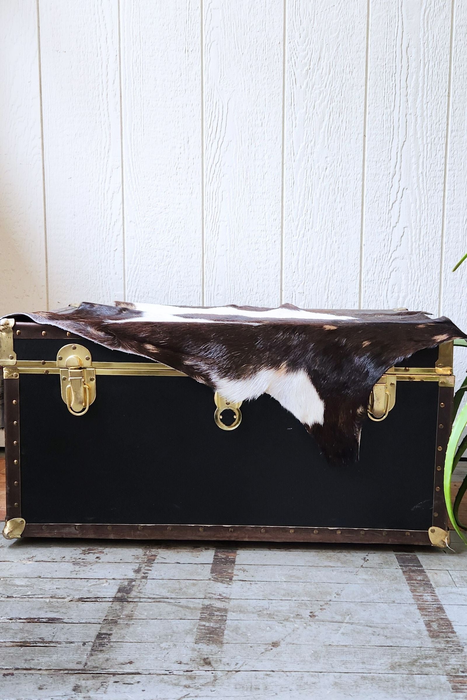 Dark Brown & White Goat Hide Rug #436