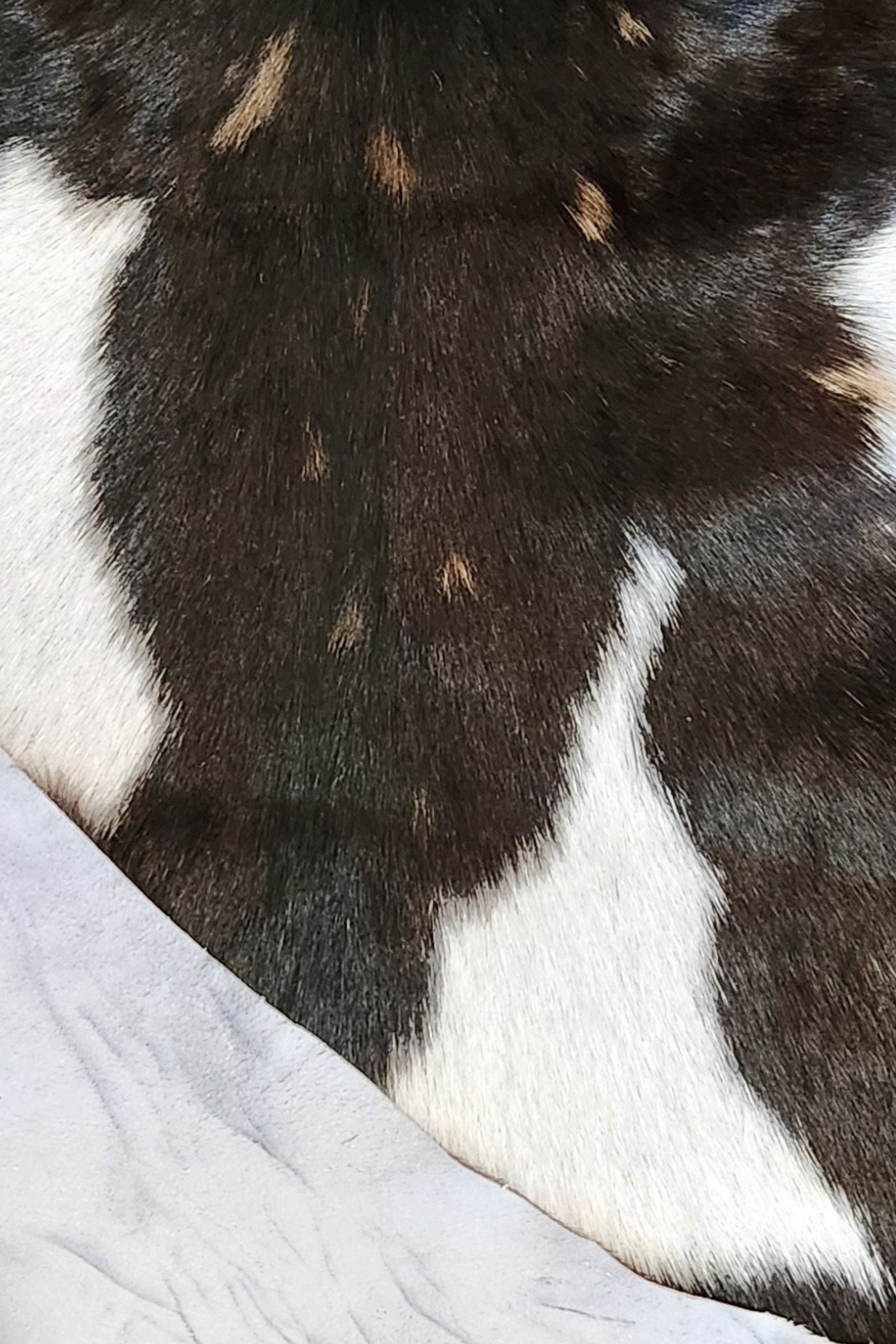 Dark Brown & White Goat Hide Rug #436