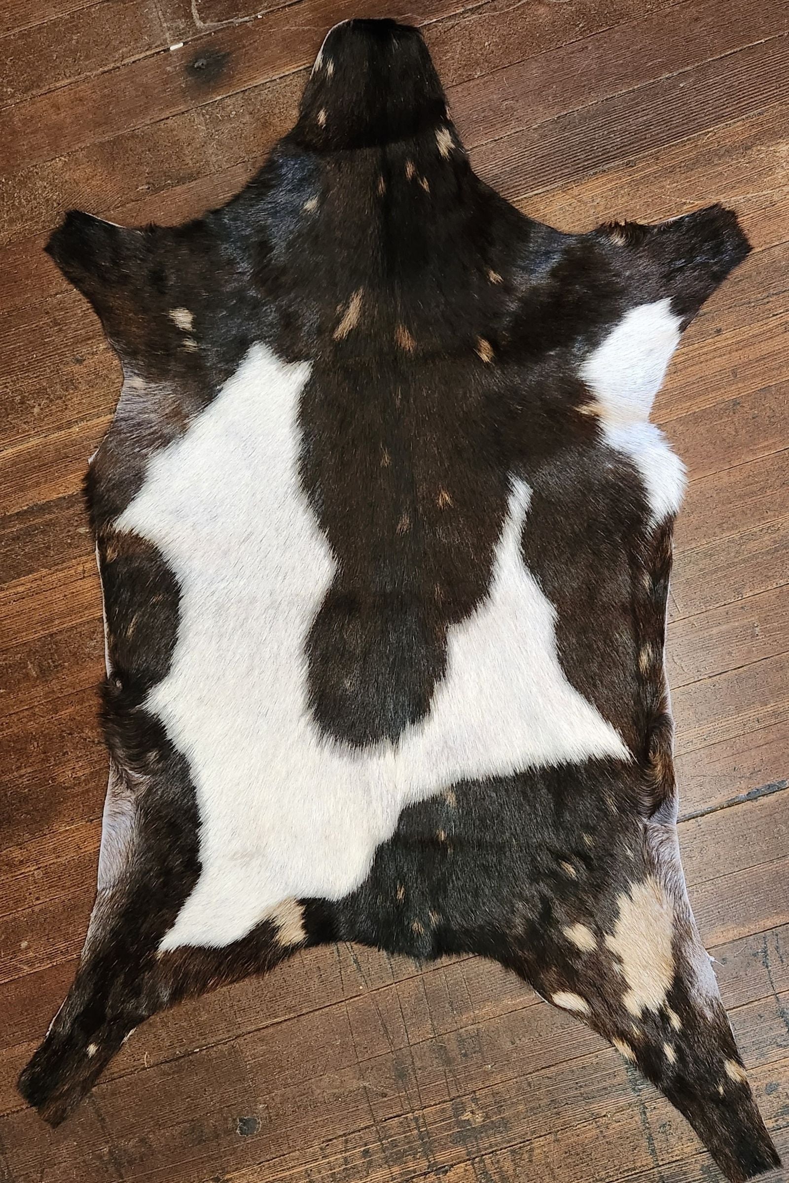 Dark Brown & White Goat Hide Rug #436